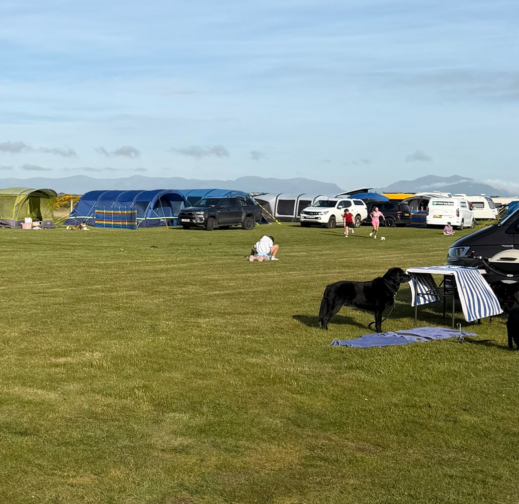 Grassy campsite with parked cars, tents, and people relaxing on a sunny open field.