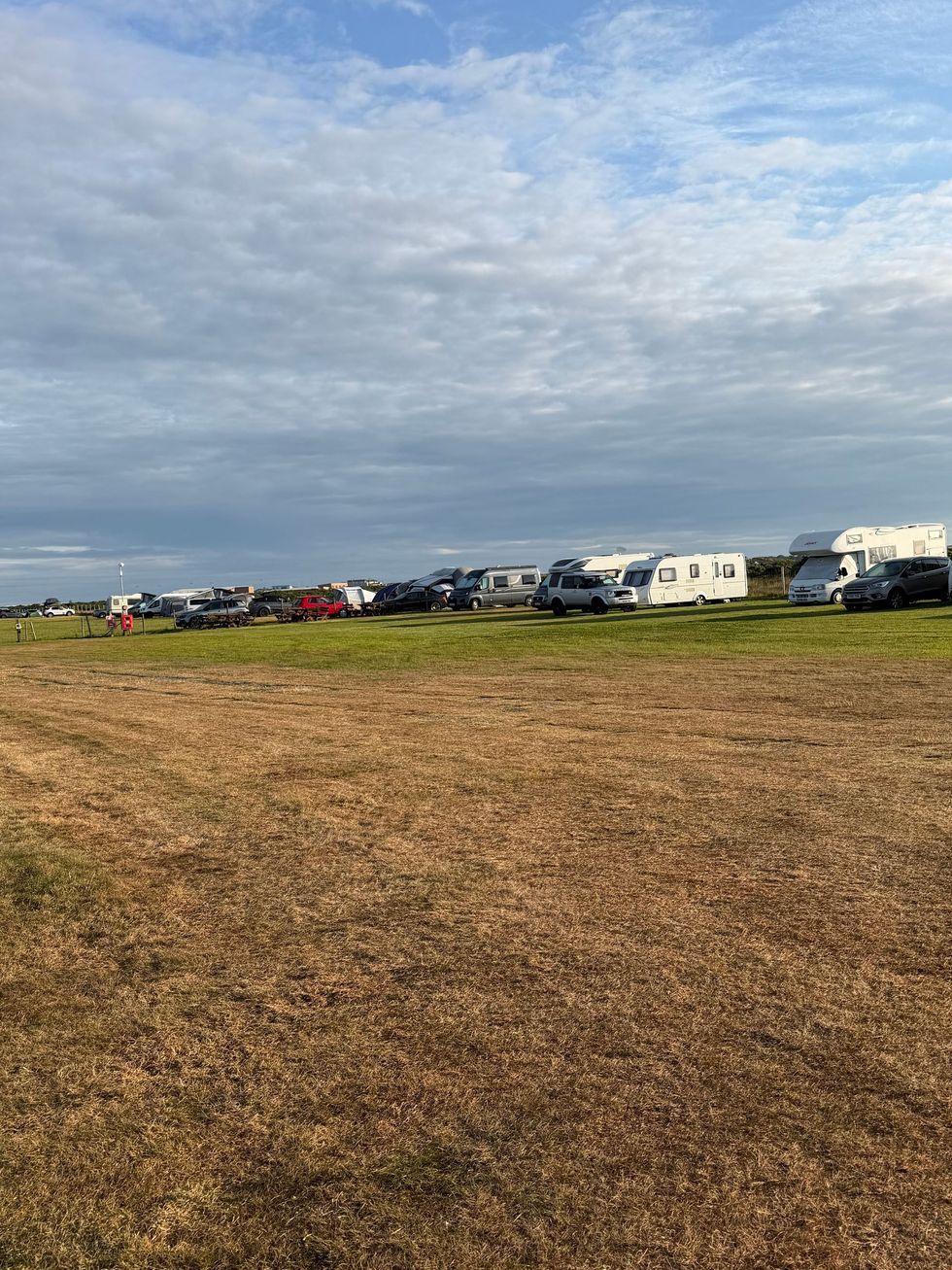 Grassy field under a clear blue sky with a dirt path and distant horizon