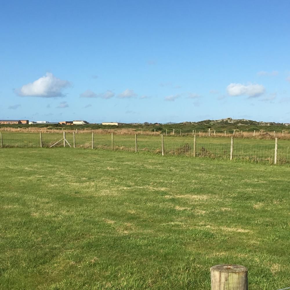 Grassy field under a blue sky with scattered clouds and a distant fence line