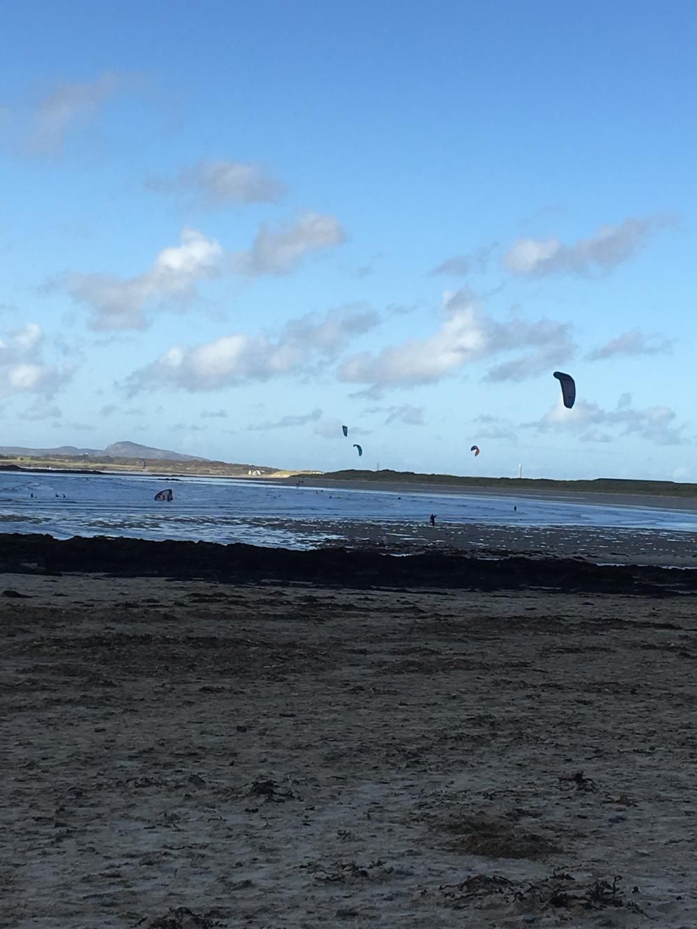 Dark sandy beach with ocean waves, blue sky, and several birds flying overhead.
