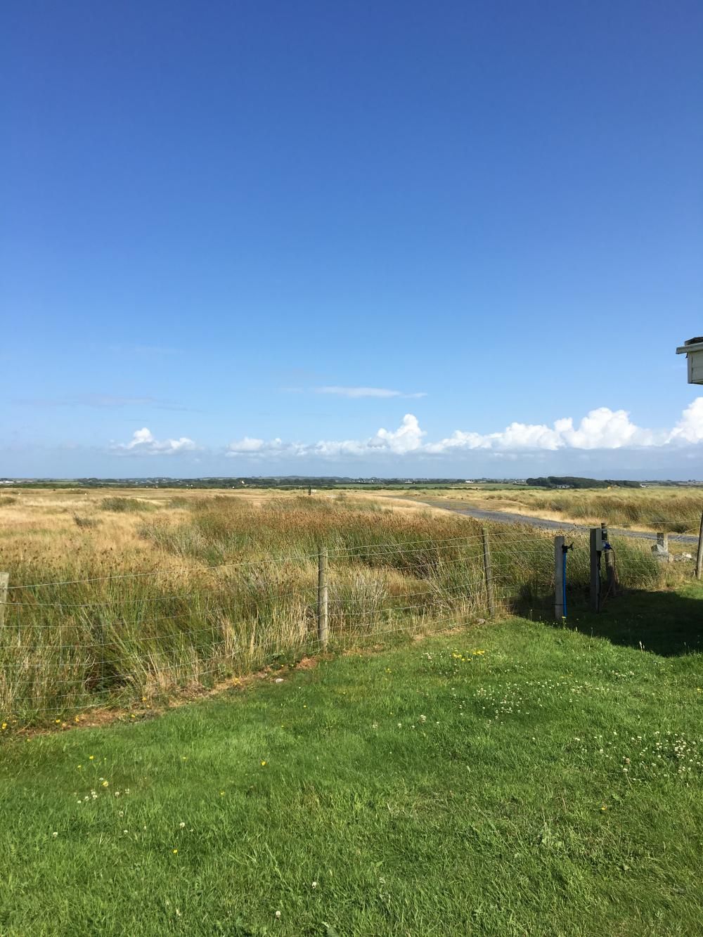 Grassy field under a clear blue sky, with a dirt path and distant fence line.