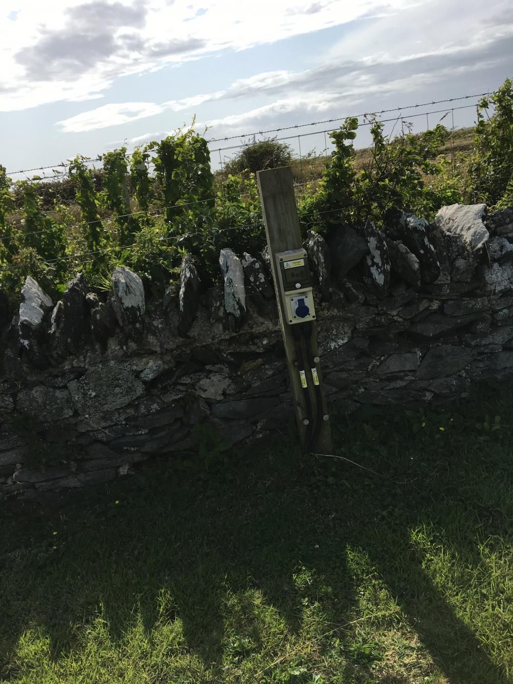 Vine-covered stone wall with a utility post and long shadows on grass under a cloudy sky