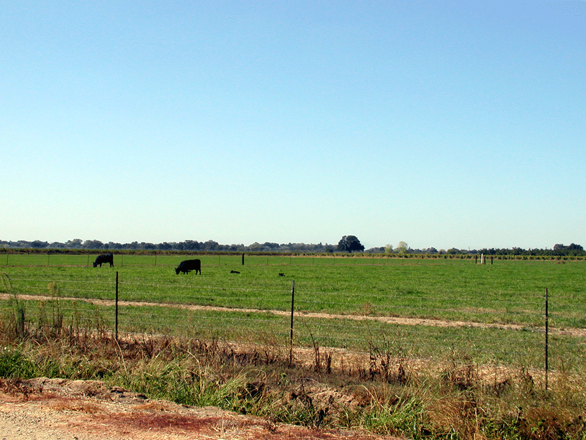 Acampo farmland