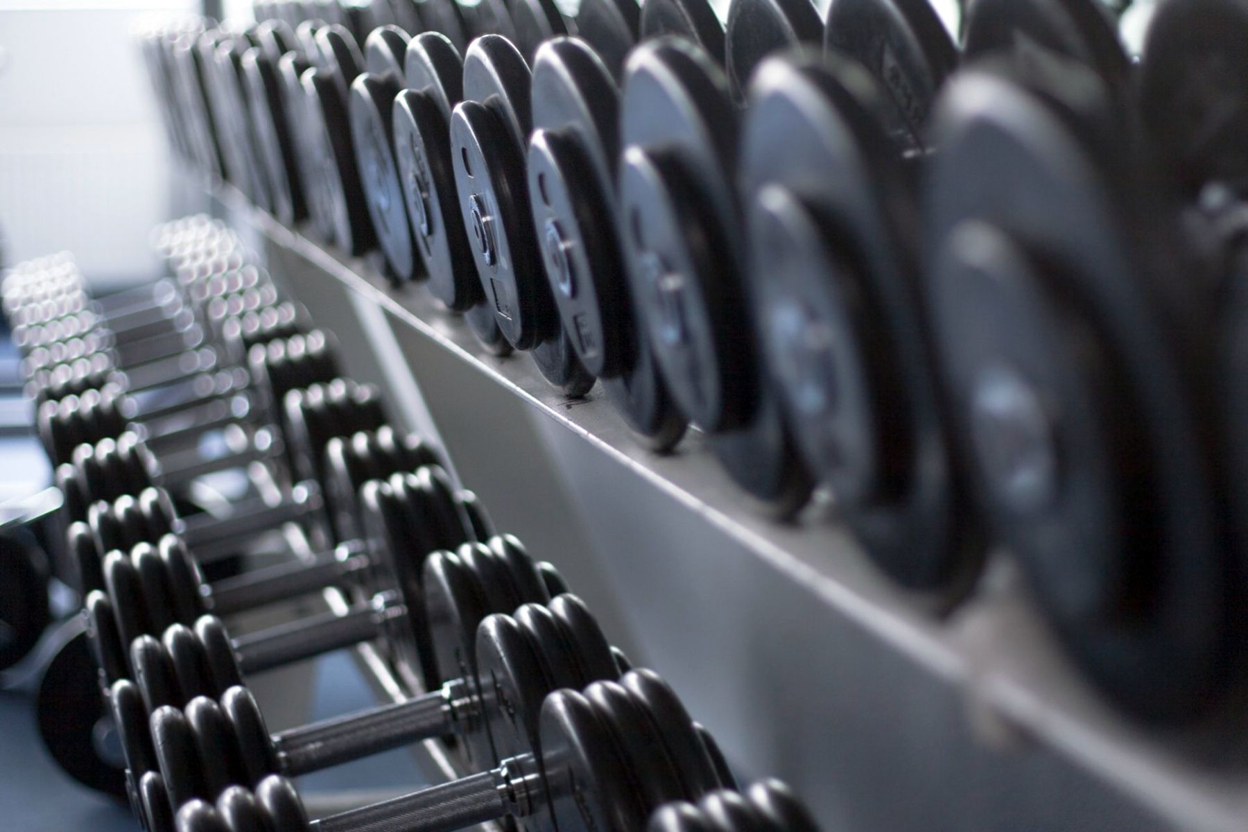 palestra automatizzata con sala pesi