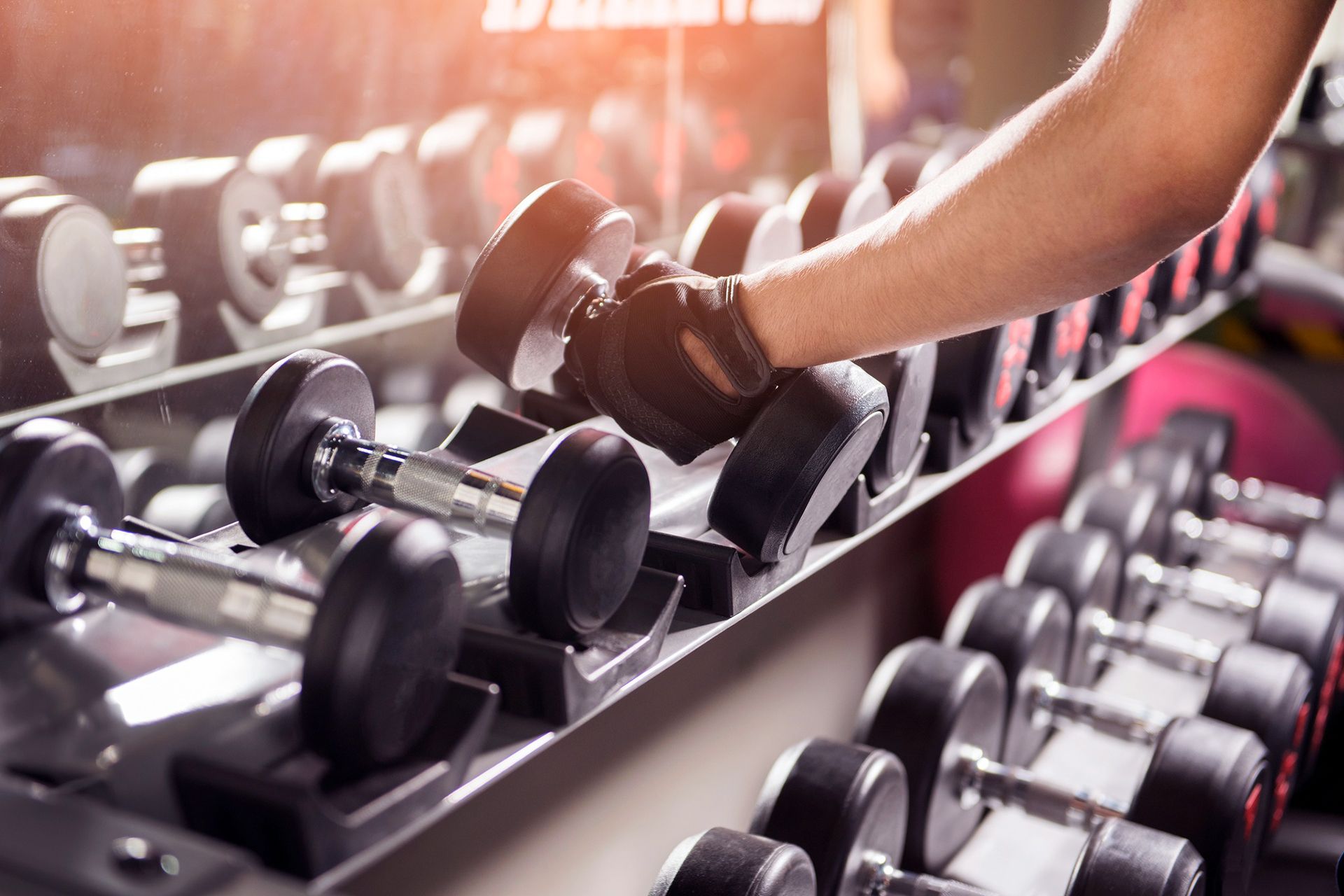 palestra con sala pesi