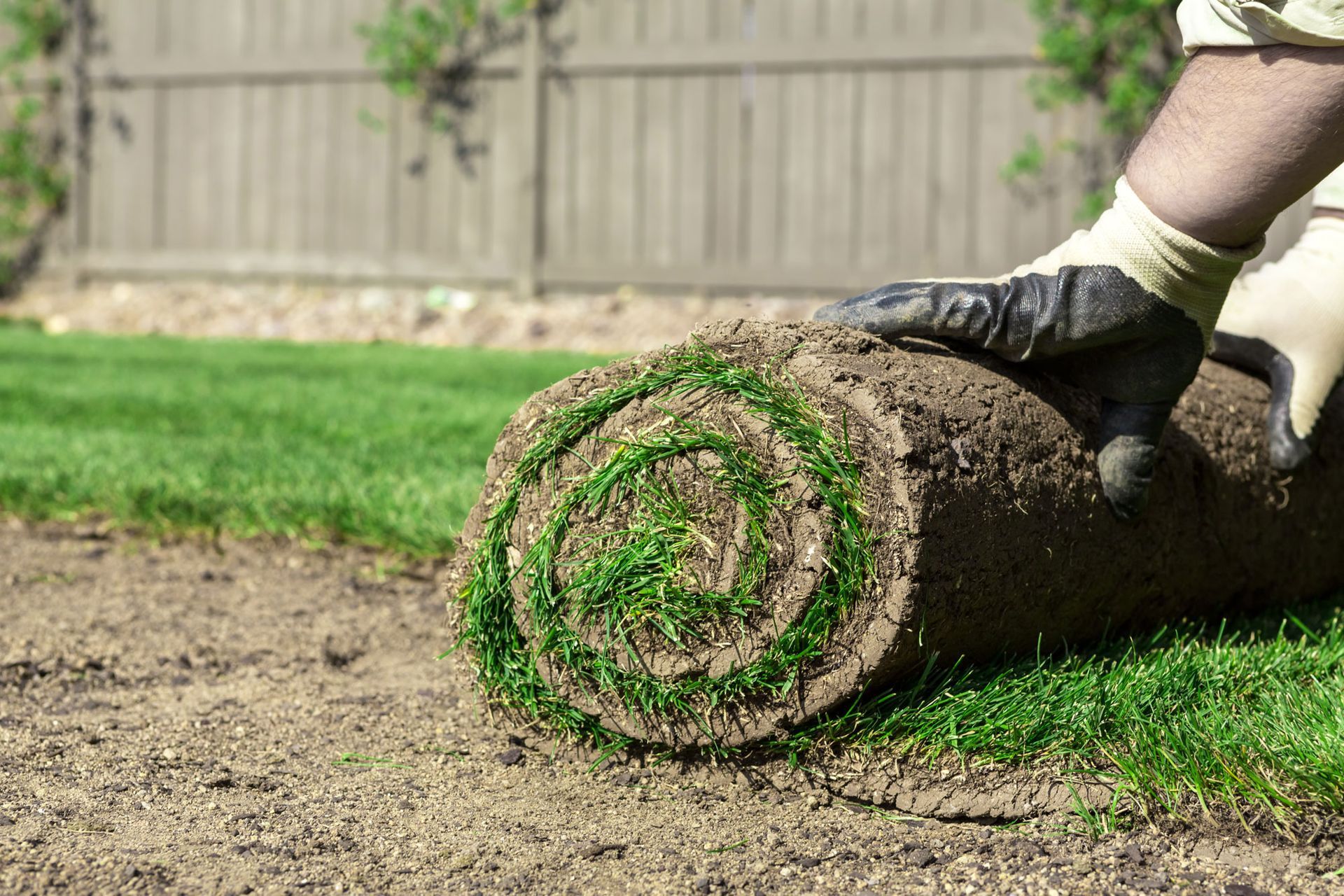 worker installing sod for new lawn