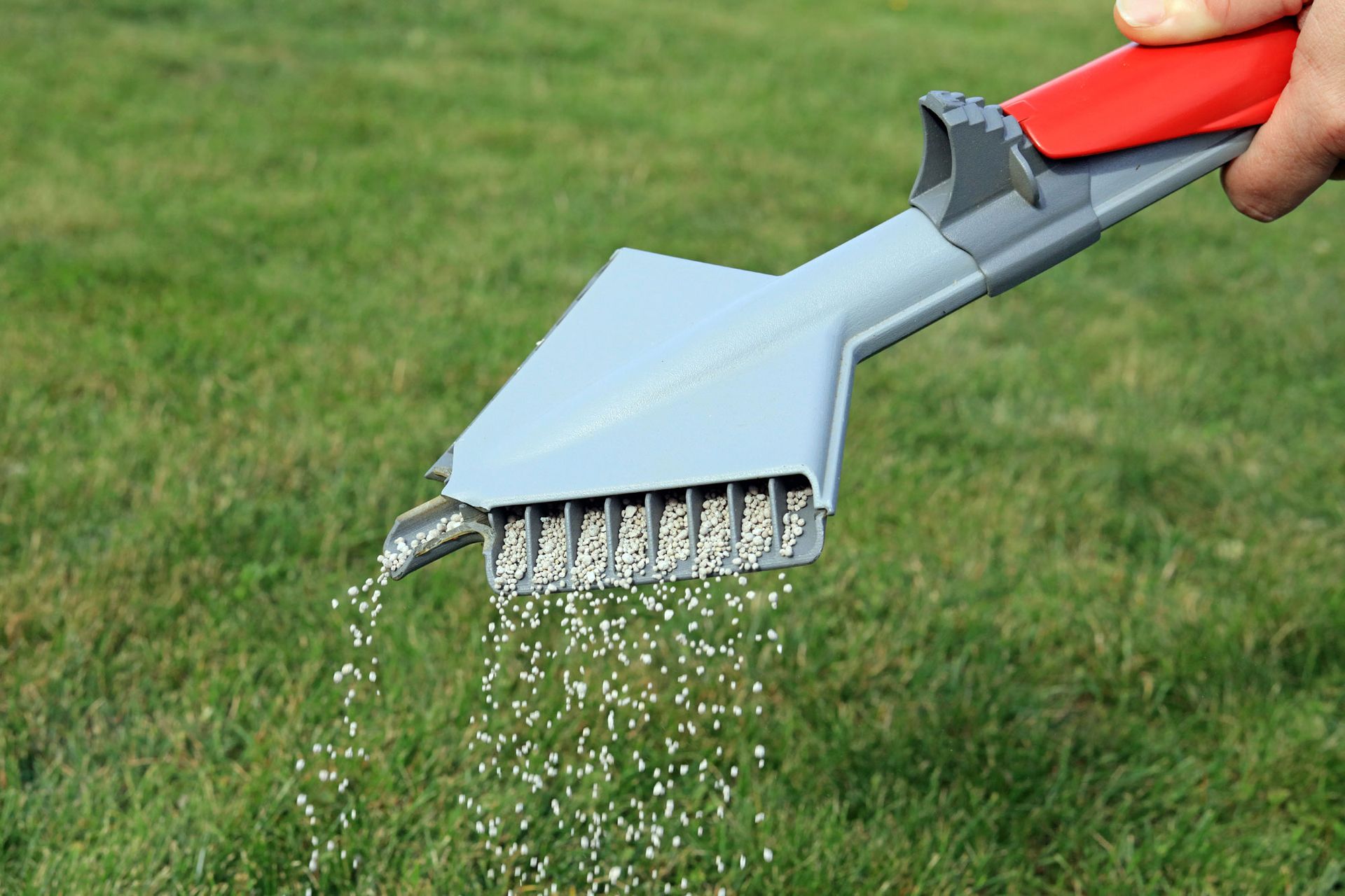 Lawn Fertilizer Being Spread By A Hand Held Spreading Machine To Feed And Treat Grass