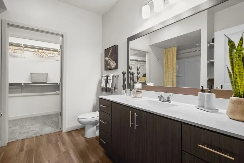 Modern bathroom with vanity, toilet, and walk-in closet at Parc Lofts in Tolleson, AZ.