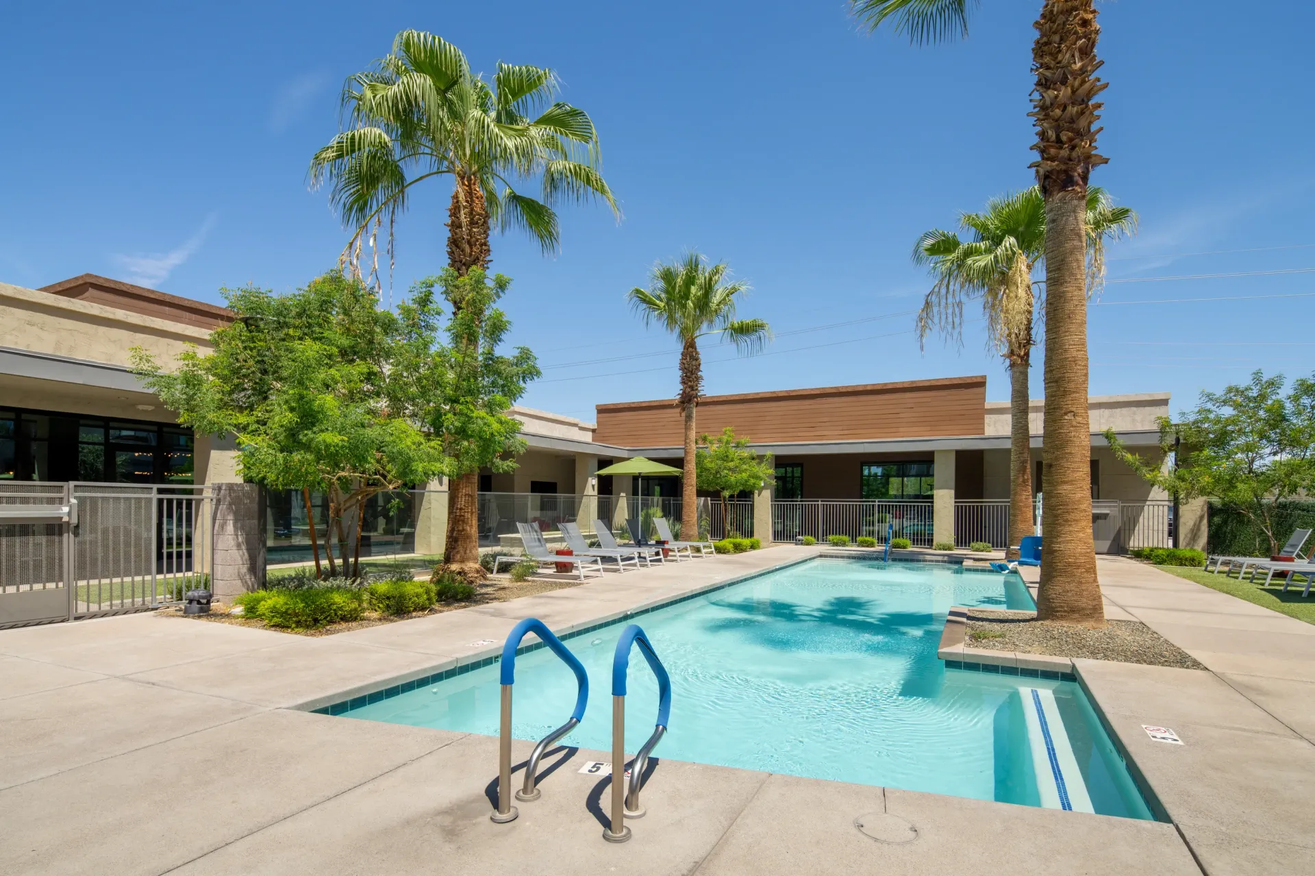 Outdoor swimming pool with lounge chairs and palm trees.