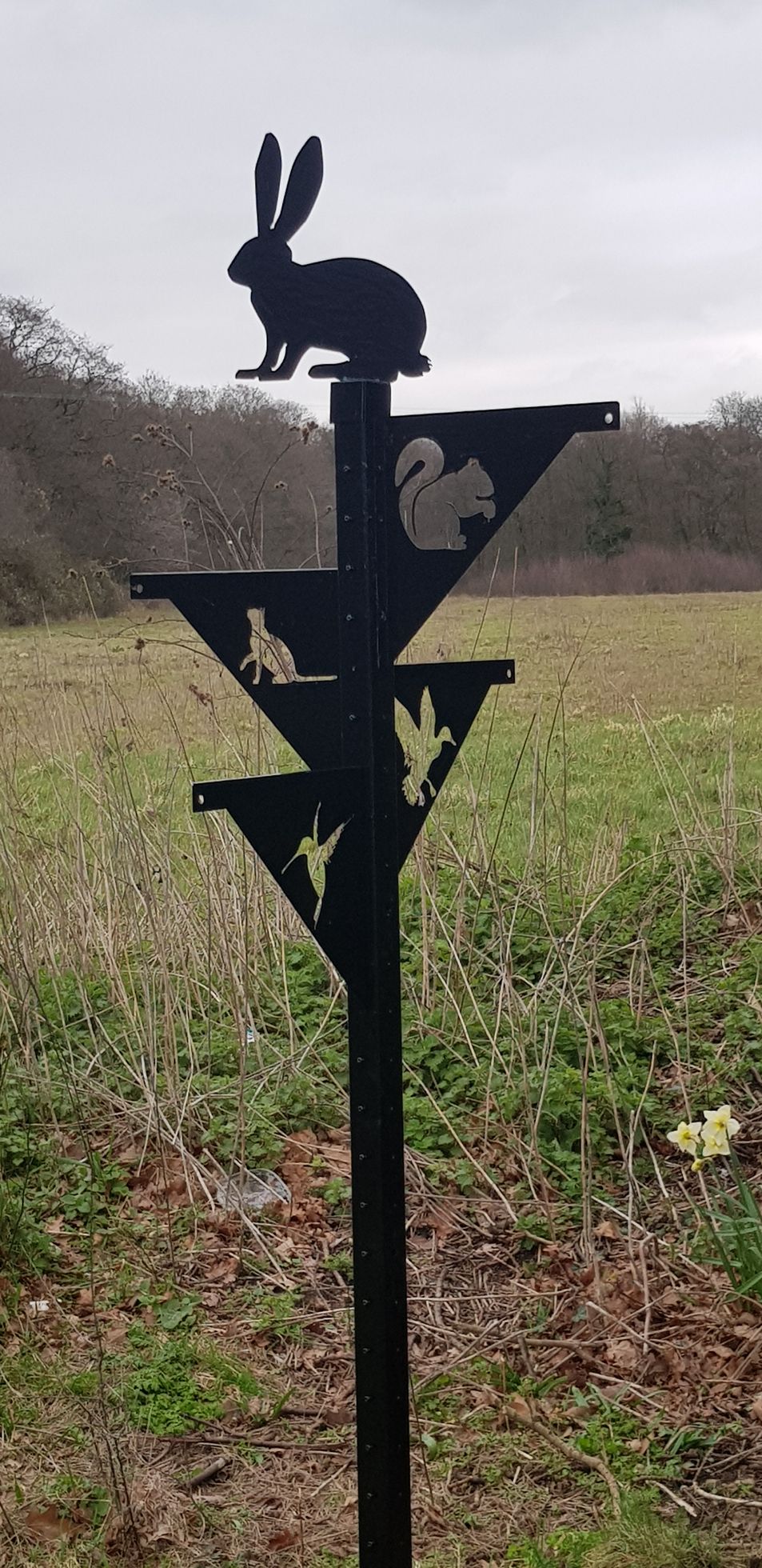 Bird Feeder