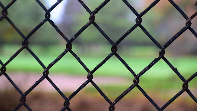 Black chain-link fence in the foreground with a blurred green and brown field beyond.