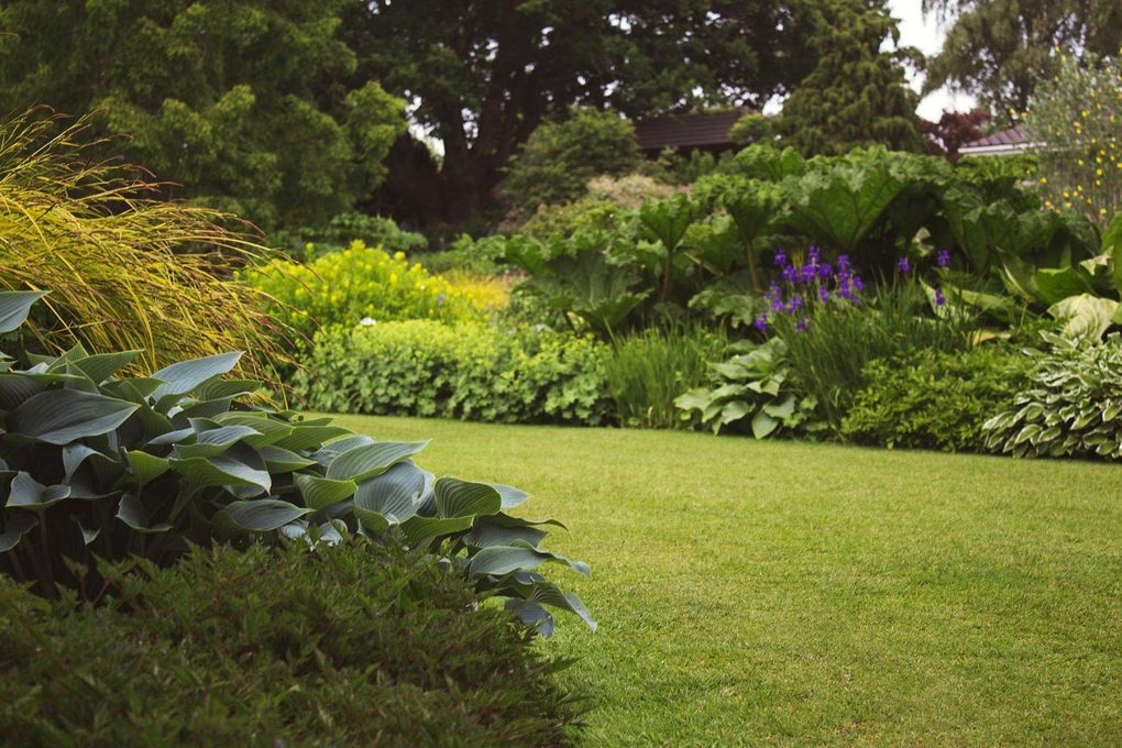 Lush green garden with lawn, shrubs, and colorful flowers under trees