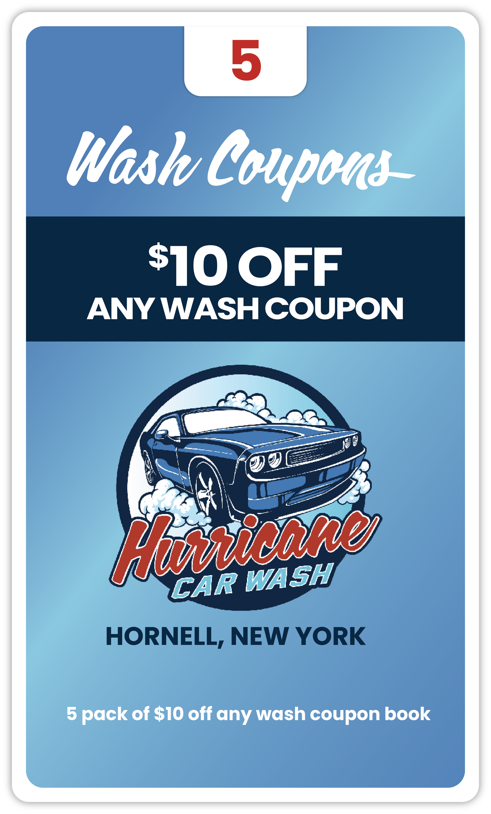 HORNELL - 5 Pack $10 Wash Book
