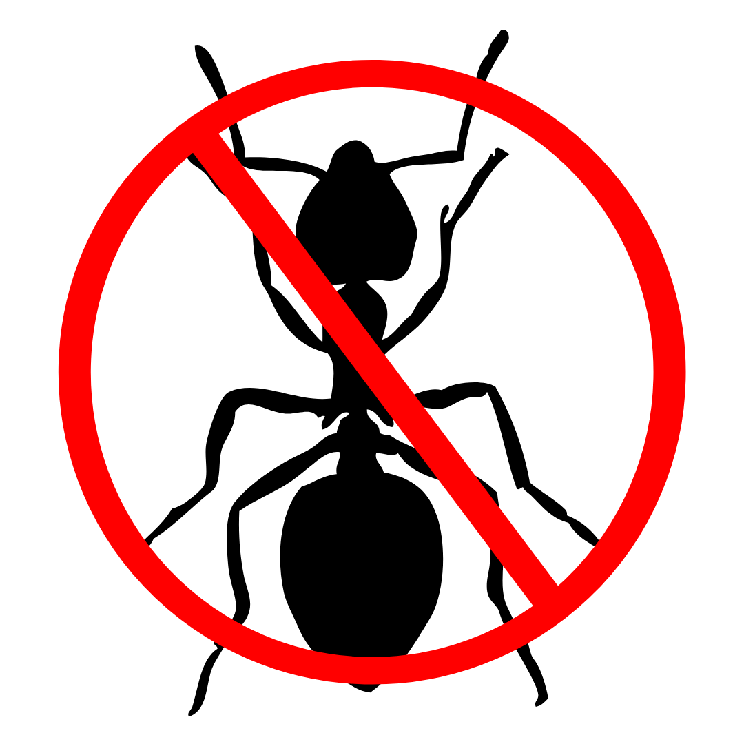 A black silhouette of an ant inside a red circle with a diagonal slash through it, symbolizing a prohibition of ants.