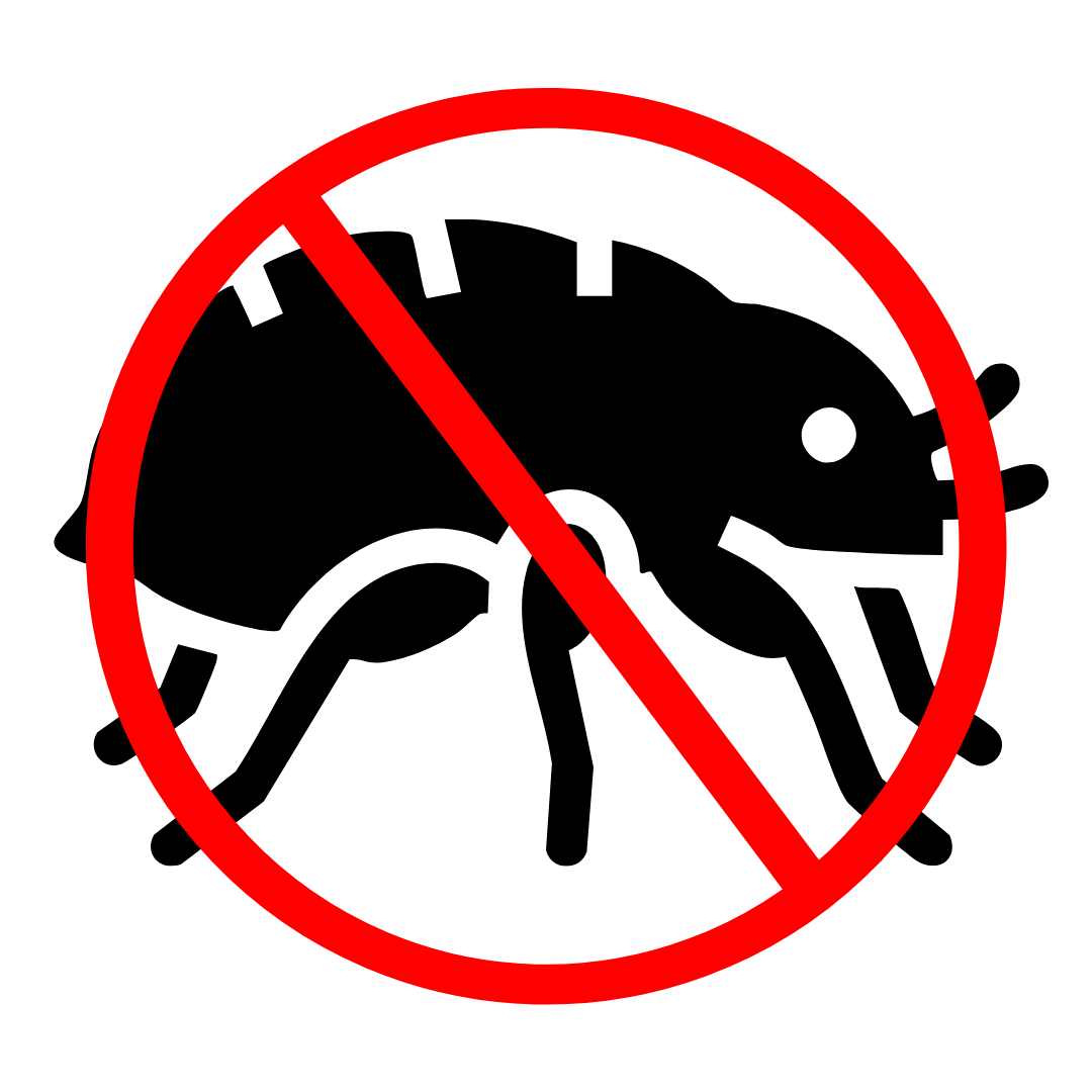 A black icon of a flea crossed out by a red circle with a diagonal line, symbolizing no fleas.