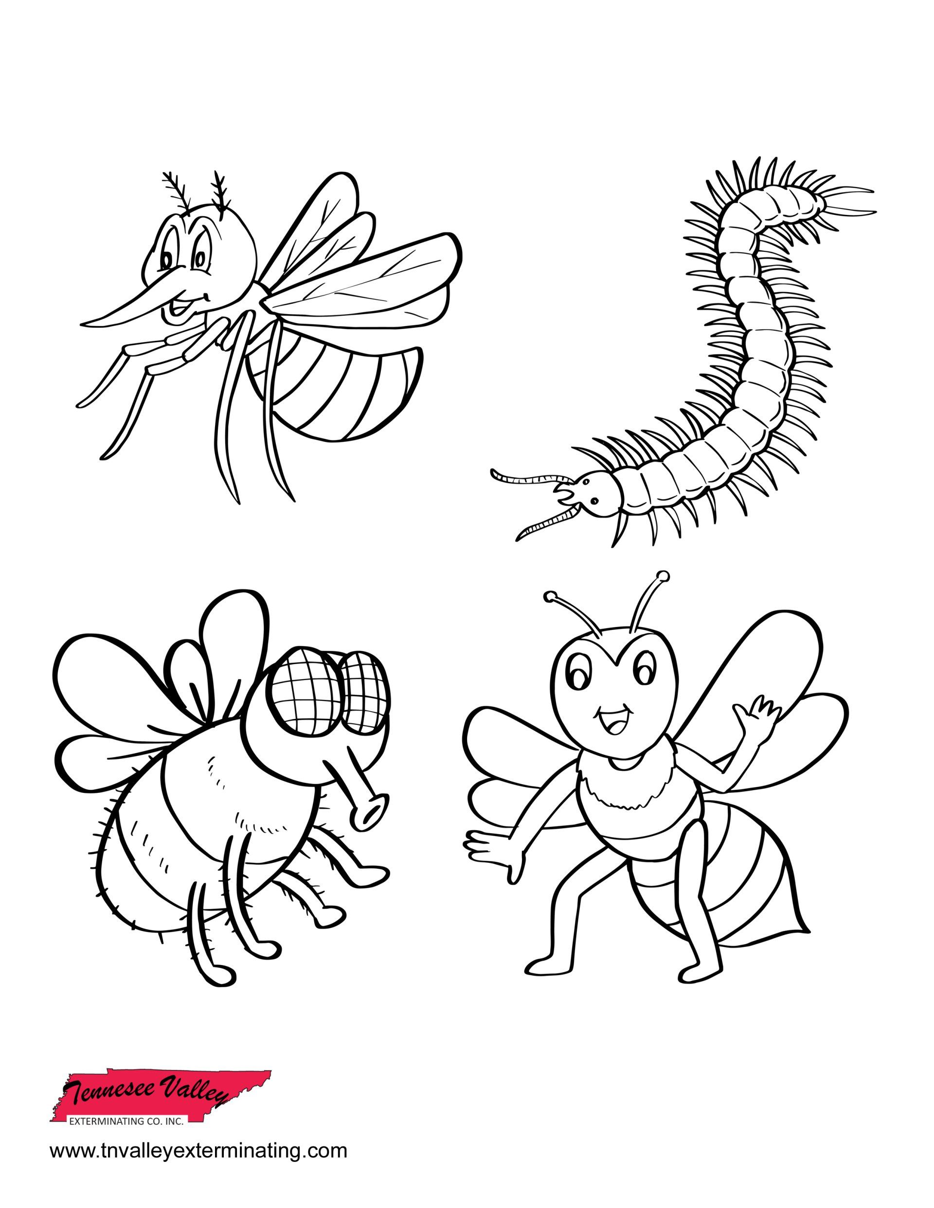 Four black-and-white line art drawings of insects: a mosquito, a centipede, a fly, and a smiling bee.