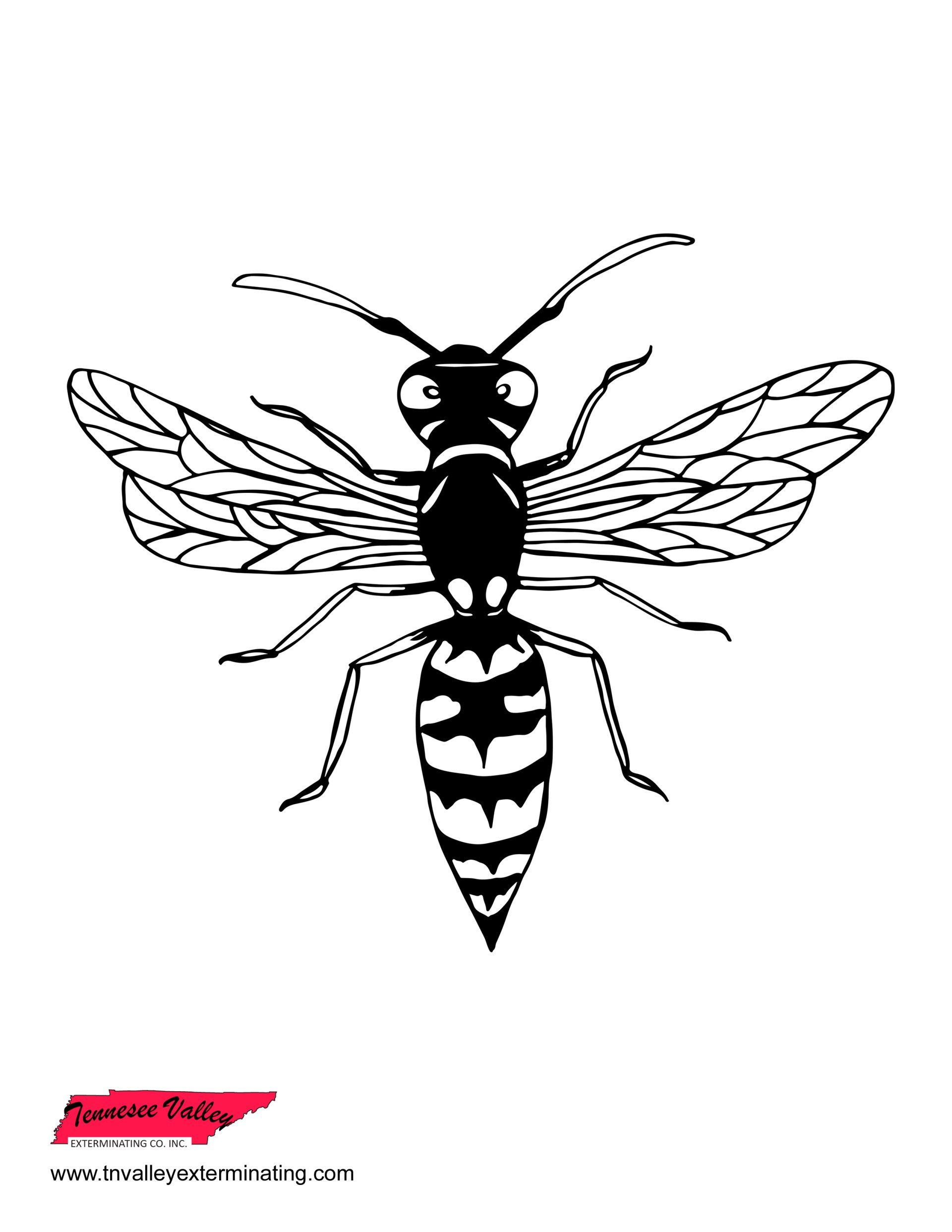 Black and white line art illustration of a wasp, centered on a white background.