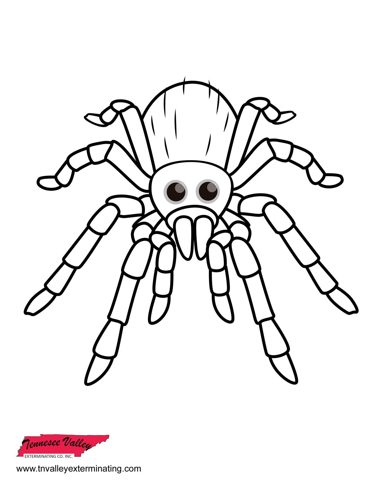 bug coloring book page