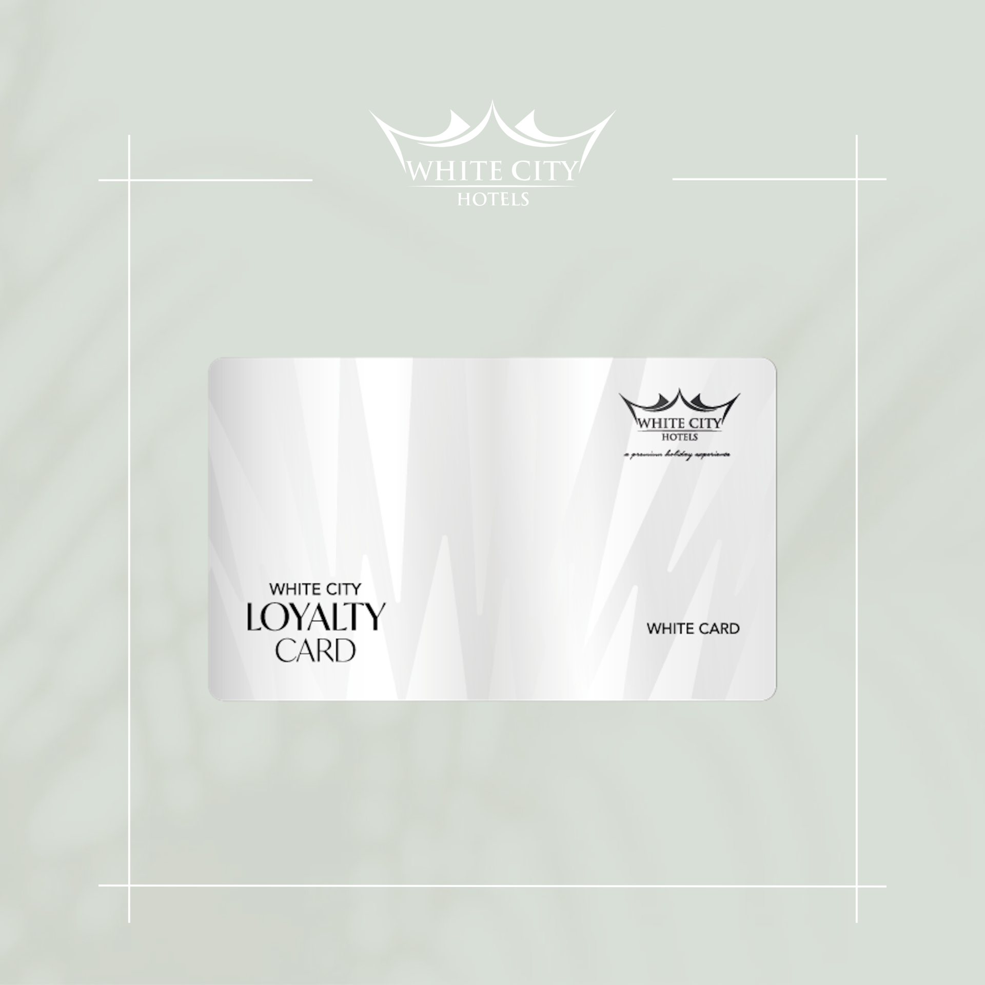 White City Hotels