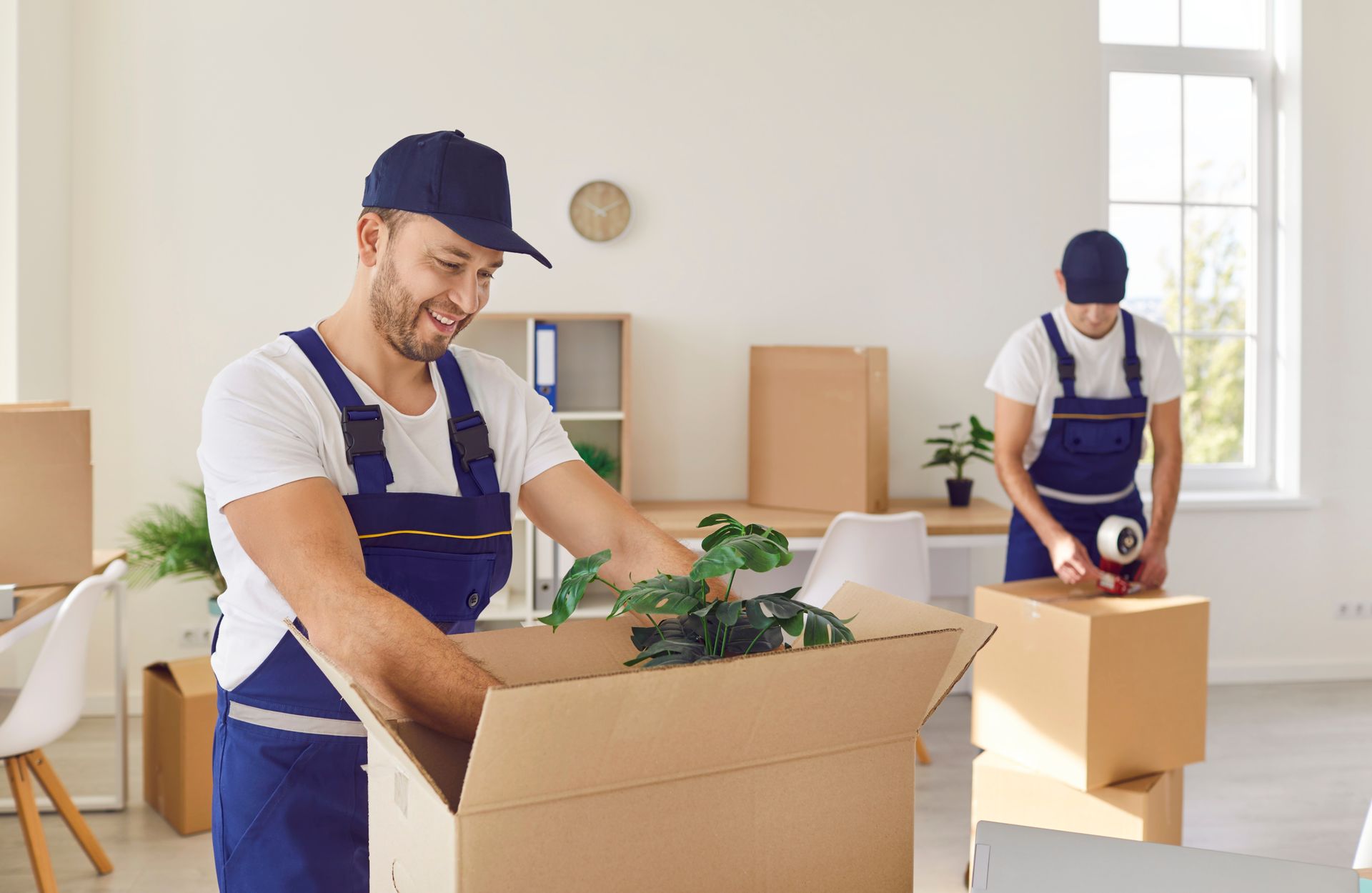 Two movers in blue overalls unpacking boxes in a bright room, one holding a box of plants.