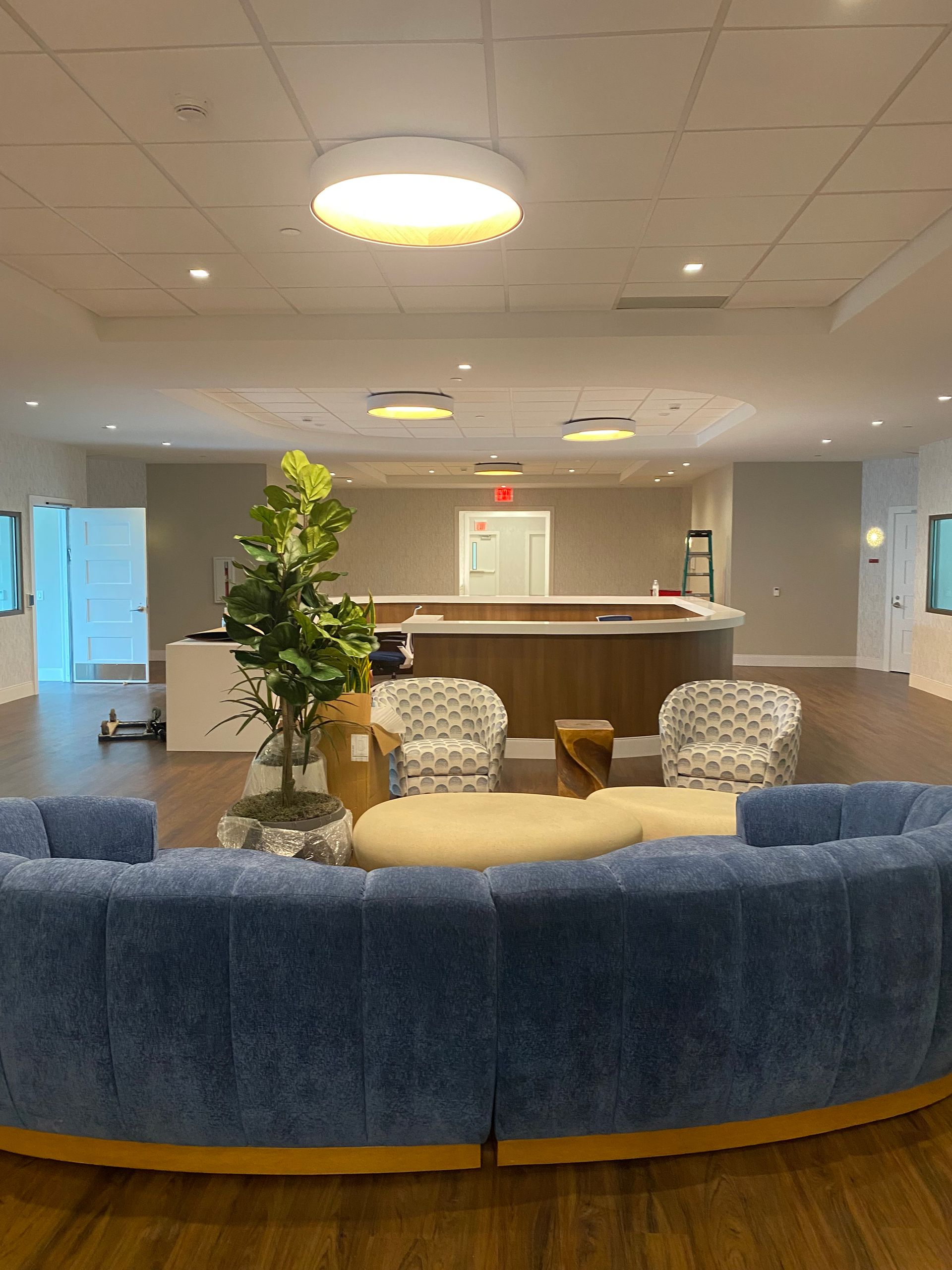 Modern hotel lobby with blue curved sofa, plants, and a reception desk under ceiling lights