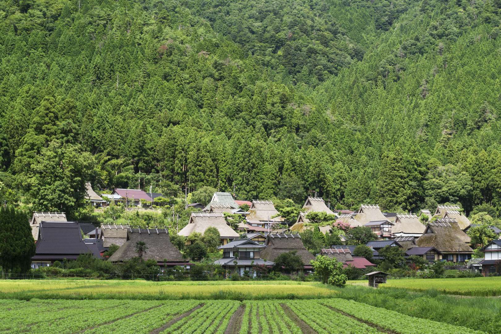 Curated Japan - A collection of photo, videos and articles about Japan