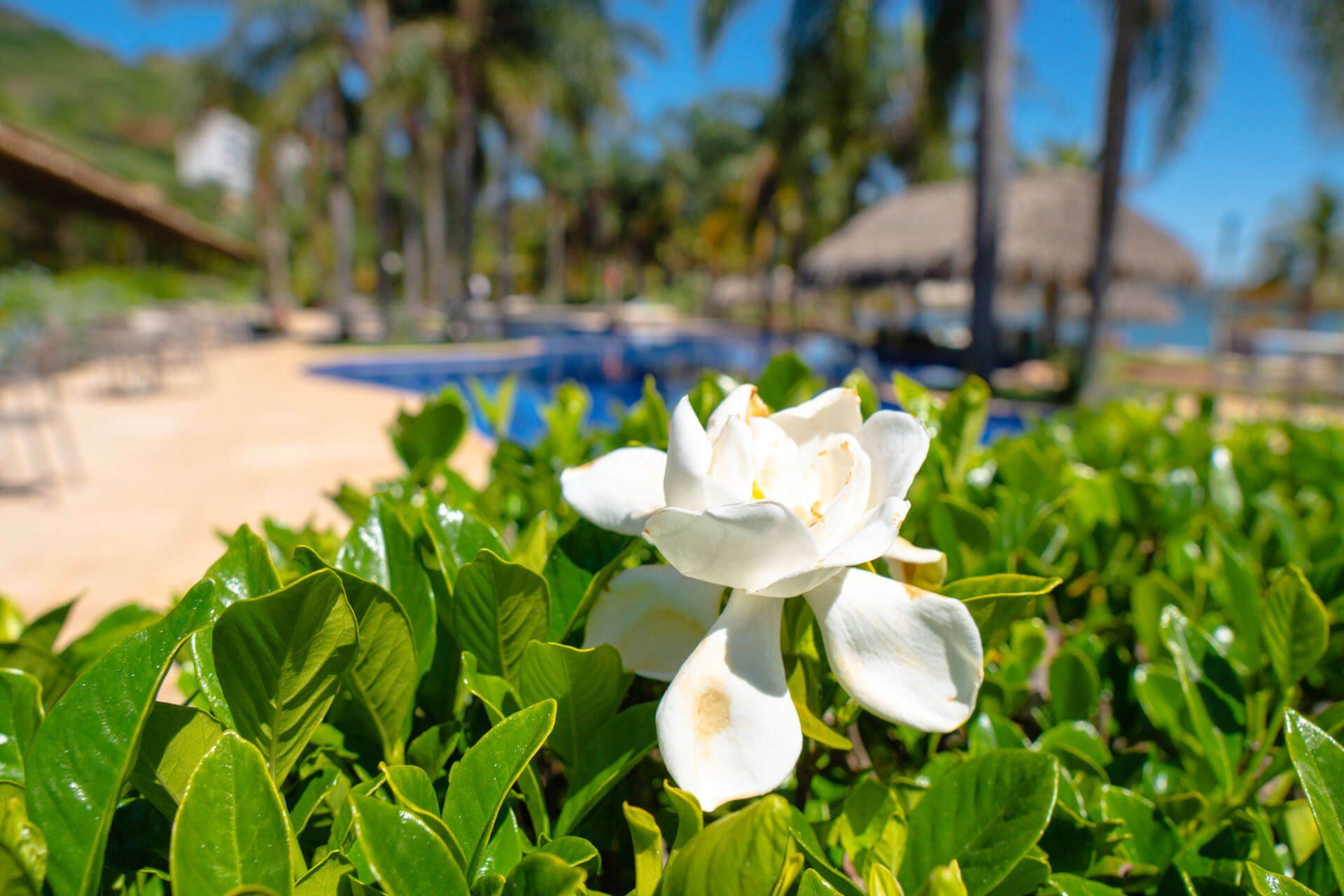 Tayayá Aqua Resort