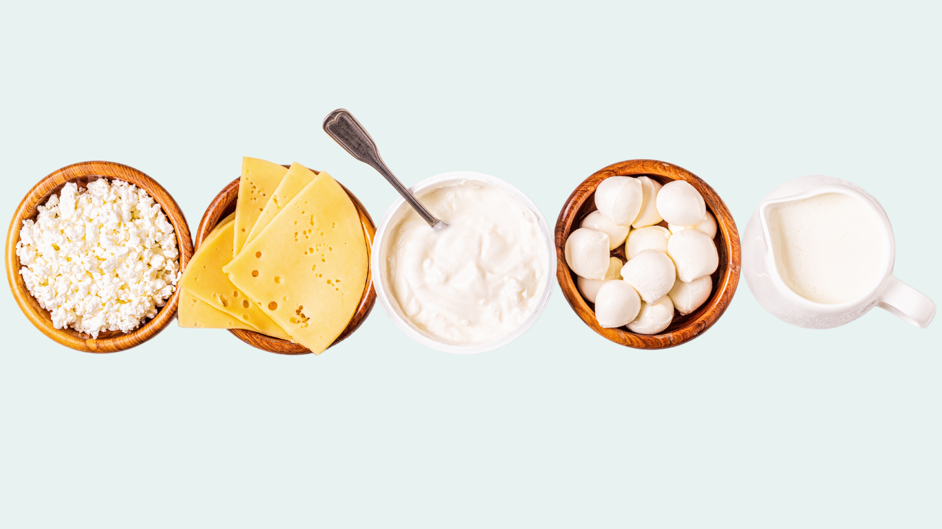 cottage cheese, cheese, yogurt, keifer and other probiotic foods are layed out in a line on a light sea foam background