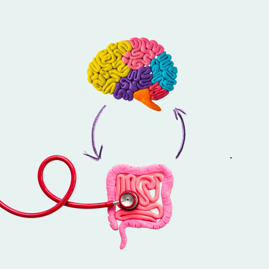 colorful model of a brain above a gut with a stethescope place on it, with arrows going up and down