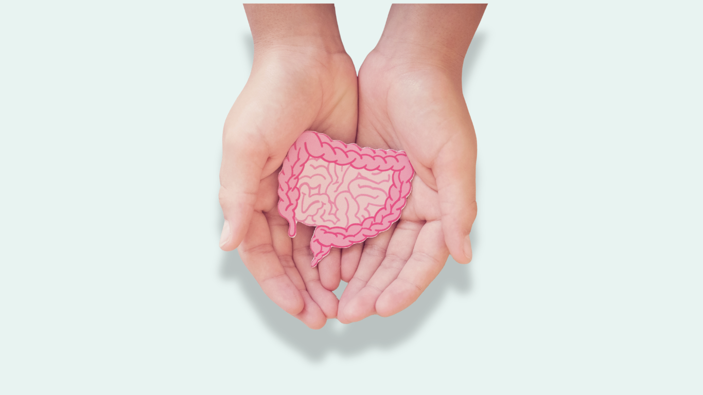 Cupped hands are holding an cut out image of the intestines
