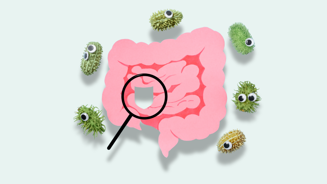 A cartoon of the intestines surrounded by bacteria with a magnifying glassing looking at it