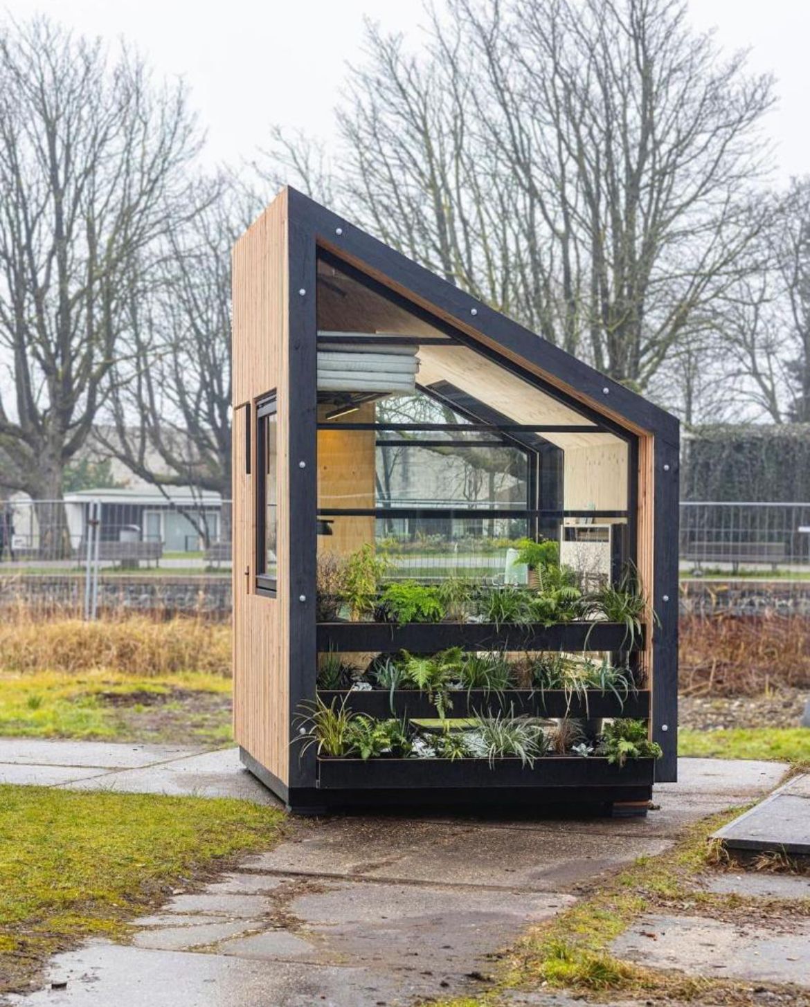 Tiny house with slanted glass roof and outdoor plant shelves, on a damp concrete path.