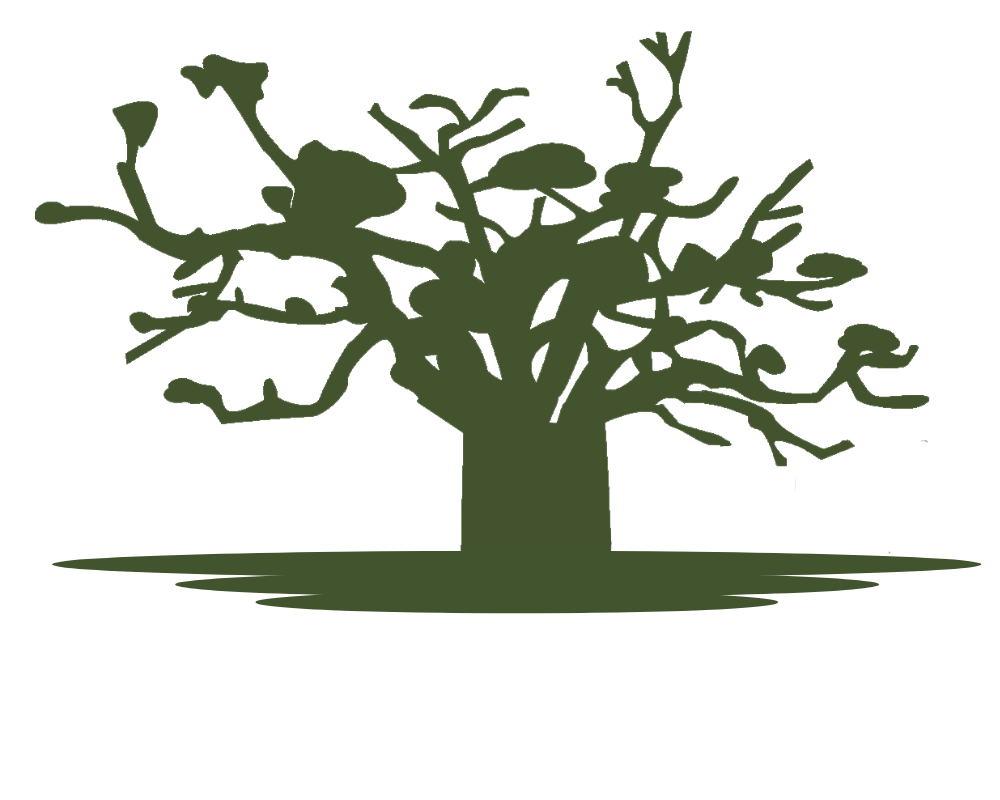 In2Africa