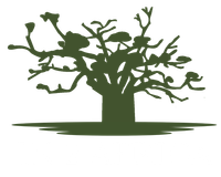 In2Africa