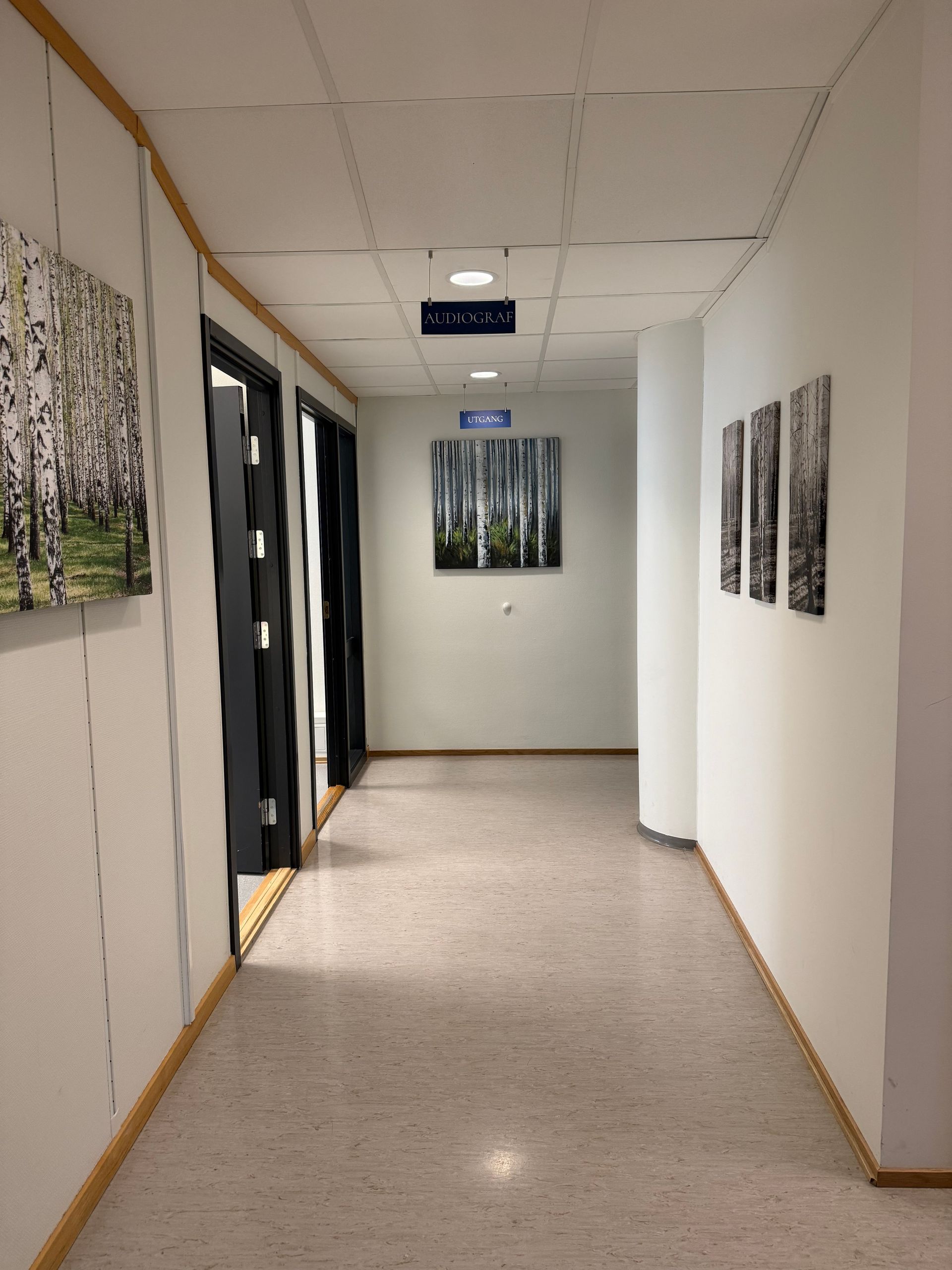Konsultasjonsrom med ØNH-utstyr