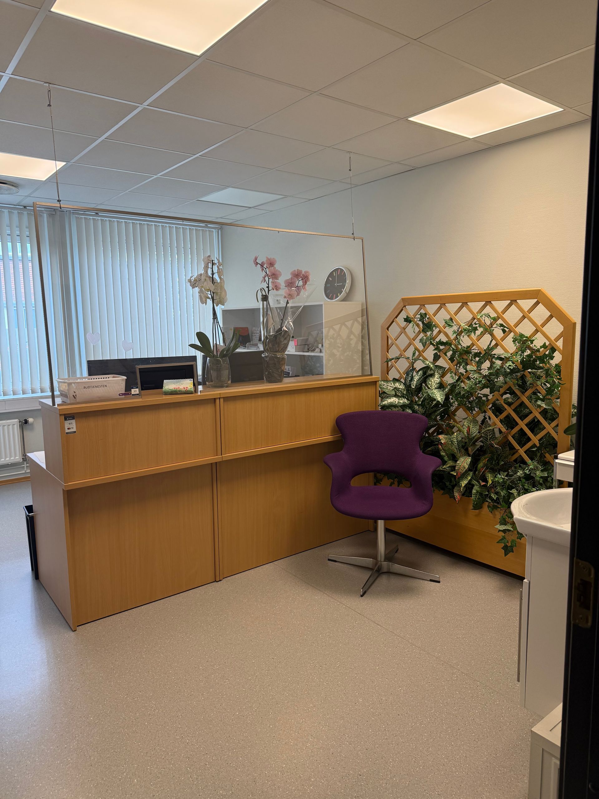 Ringerike Øre Nese Hals klinikk resepsjon