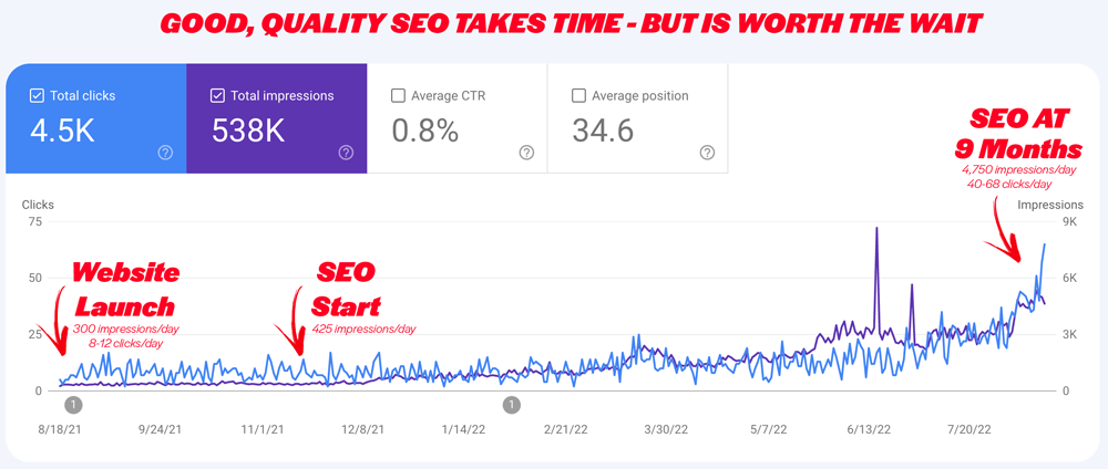 A graph showing a website launch and seo at 9 months