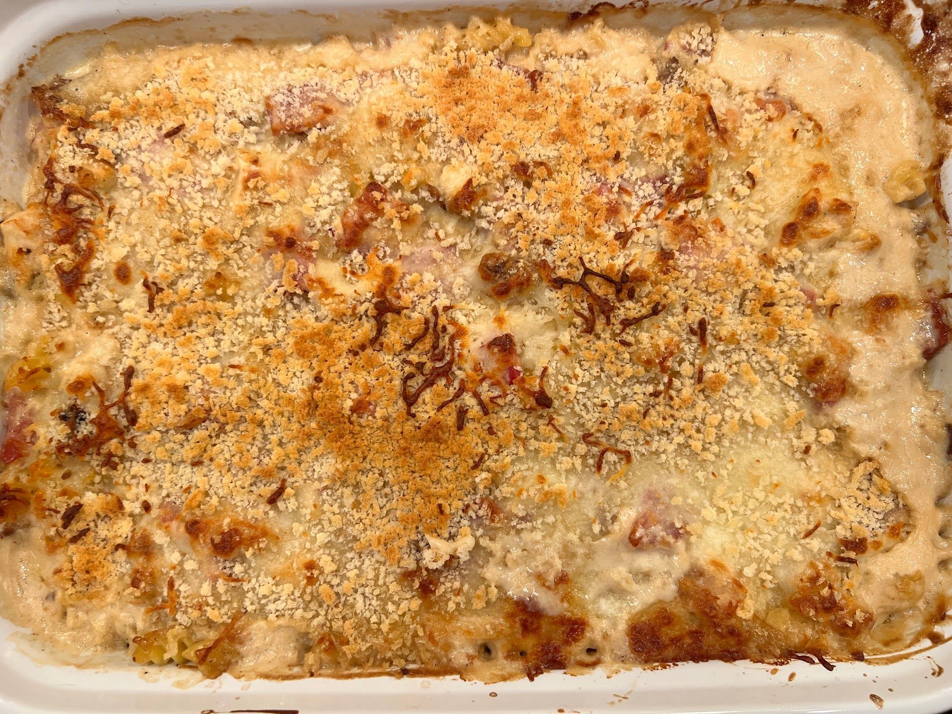 A casserole dish filled with macaroni and cheese and bread crumbs.