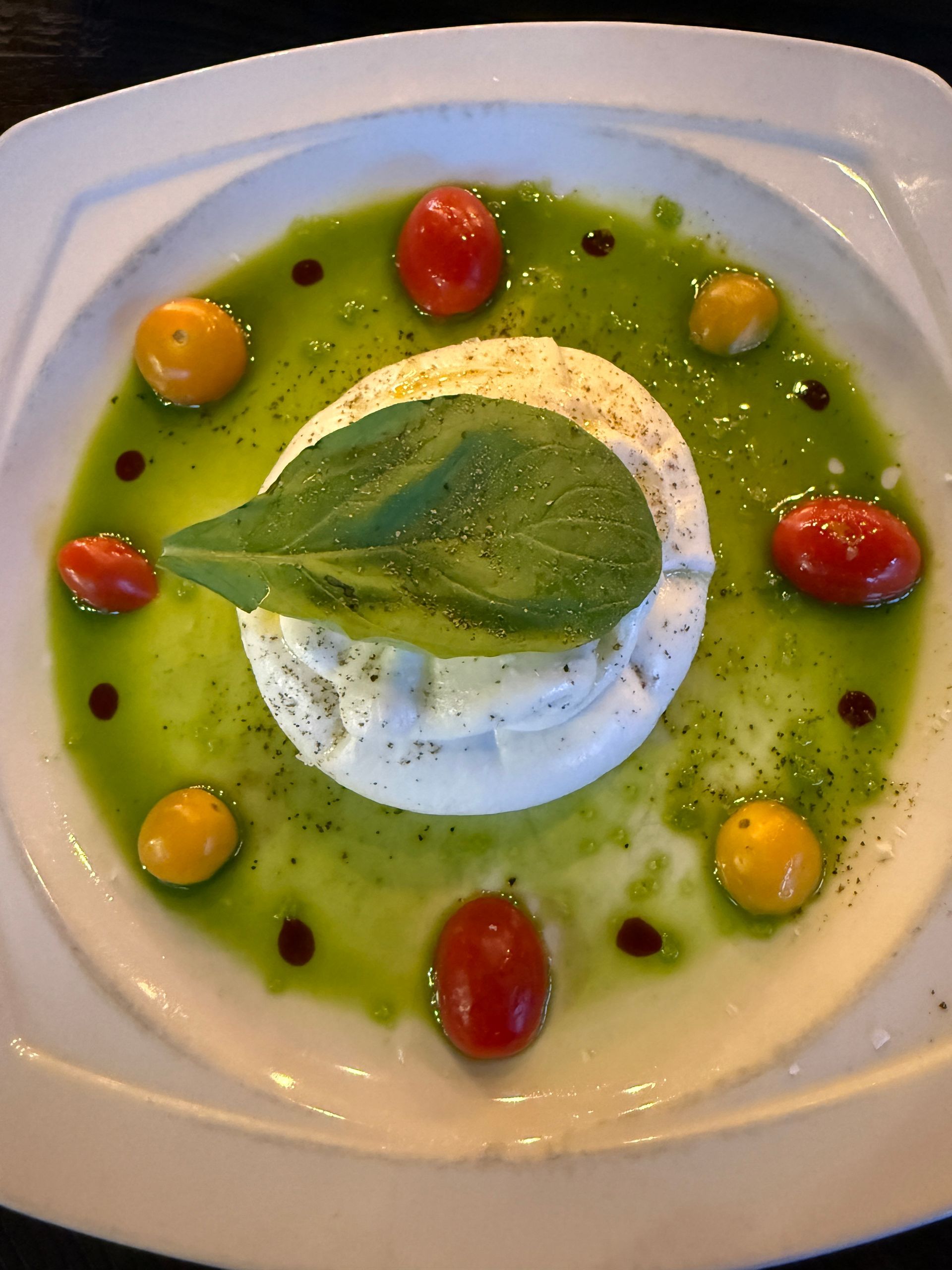 a colorful plate filled with a soft cheese, tomatoes, and olive oil