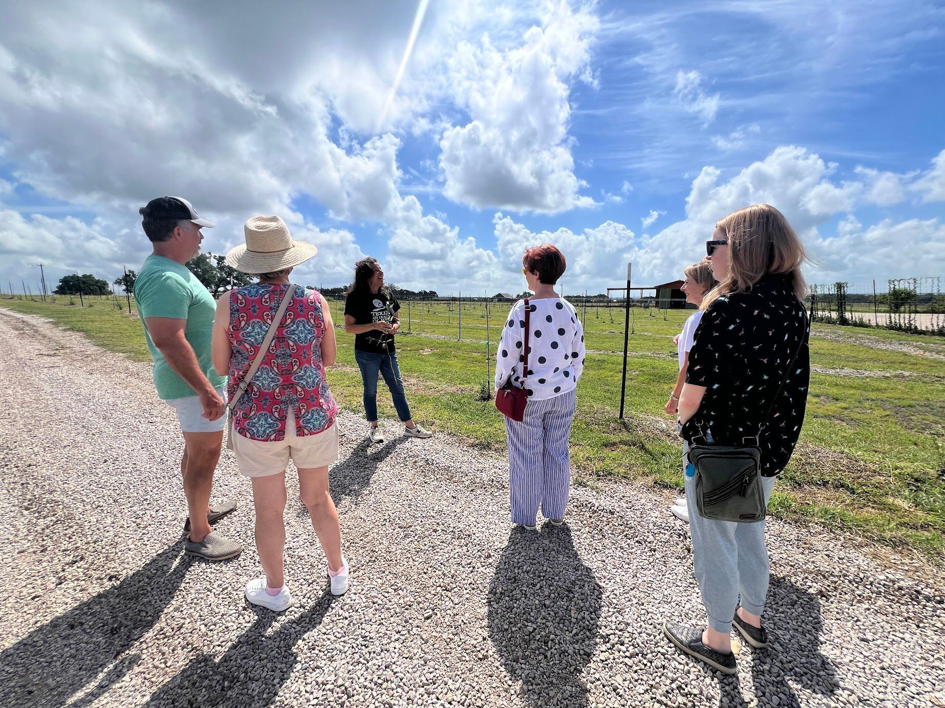 A group of people are standing on a gravel road looking at a field.