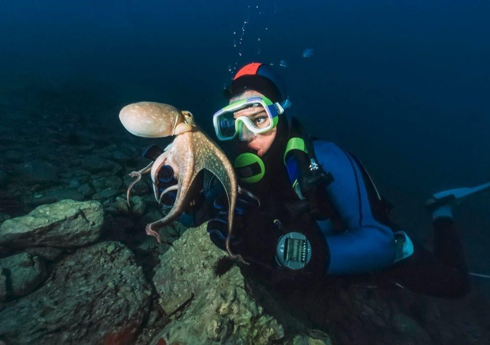 Scuba diver in blue gear photographing an octopus underwater near a rocky reef