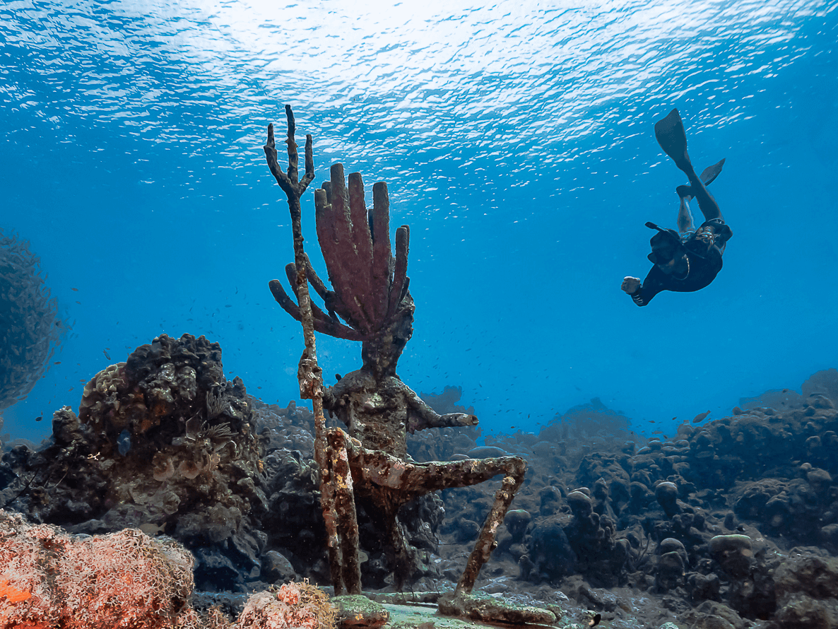 Scuba diver exploring a coral reef beneath clear blue water