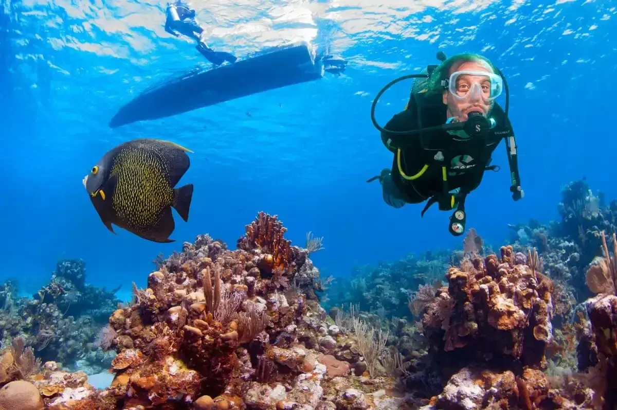 Scuba diver and sea turtle swimming above a colorful coral reef in clear blue water
