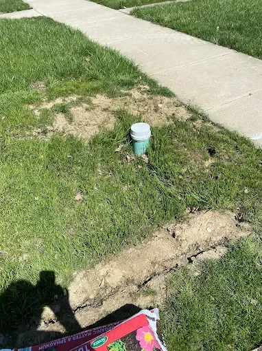 Patchy lawn beside sidewalk with a small green-and-white cup in the grass.