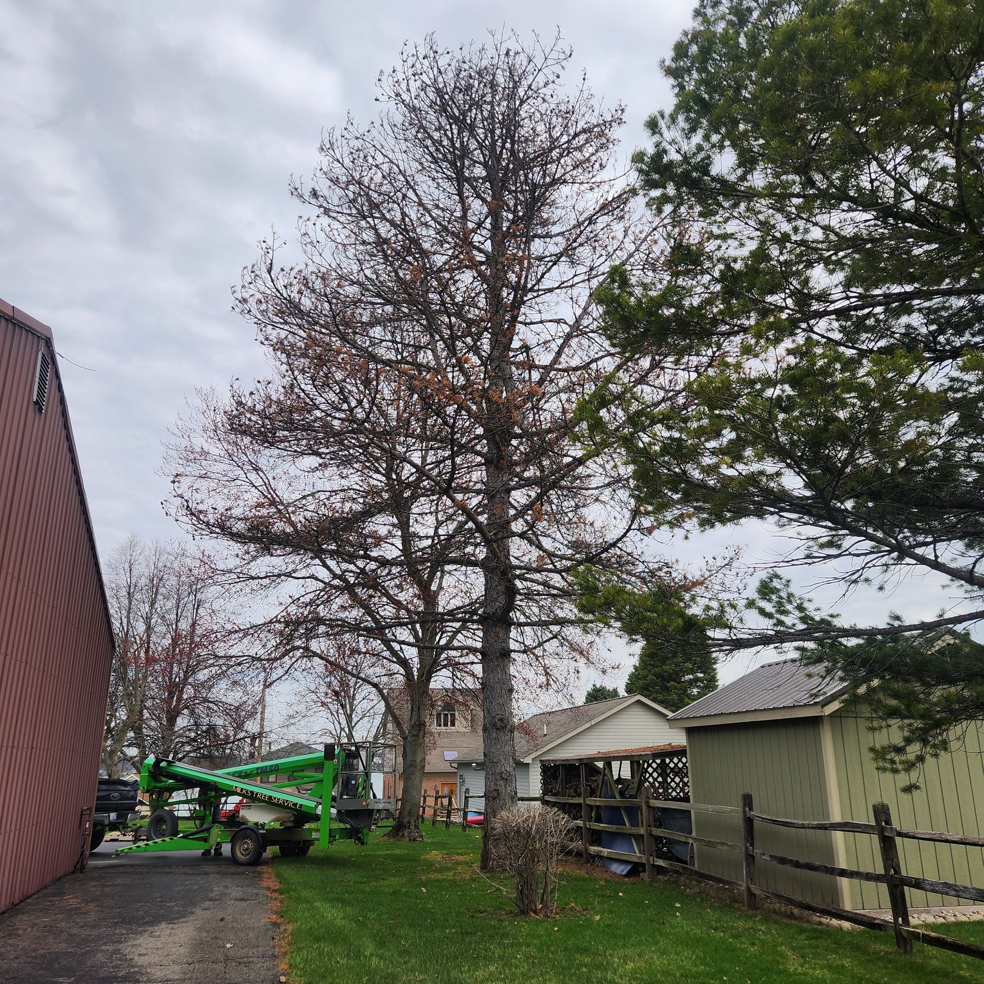 Narrow backyard path beside a brick building, with leafless trees and a green lift under an overcast sky