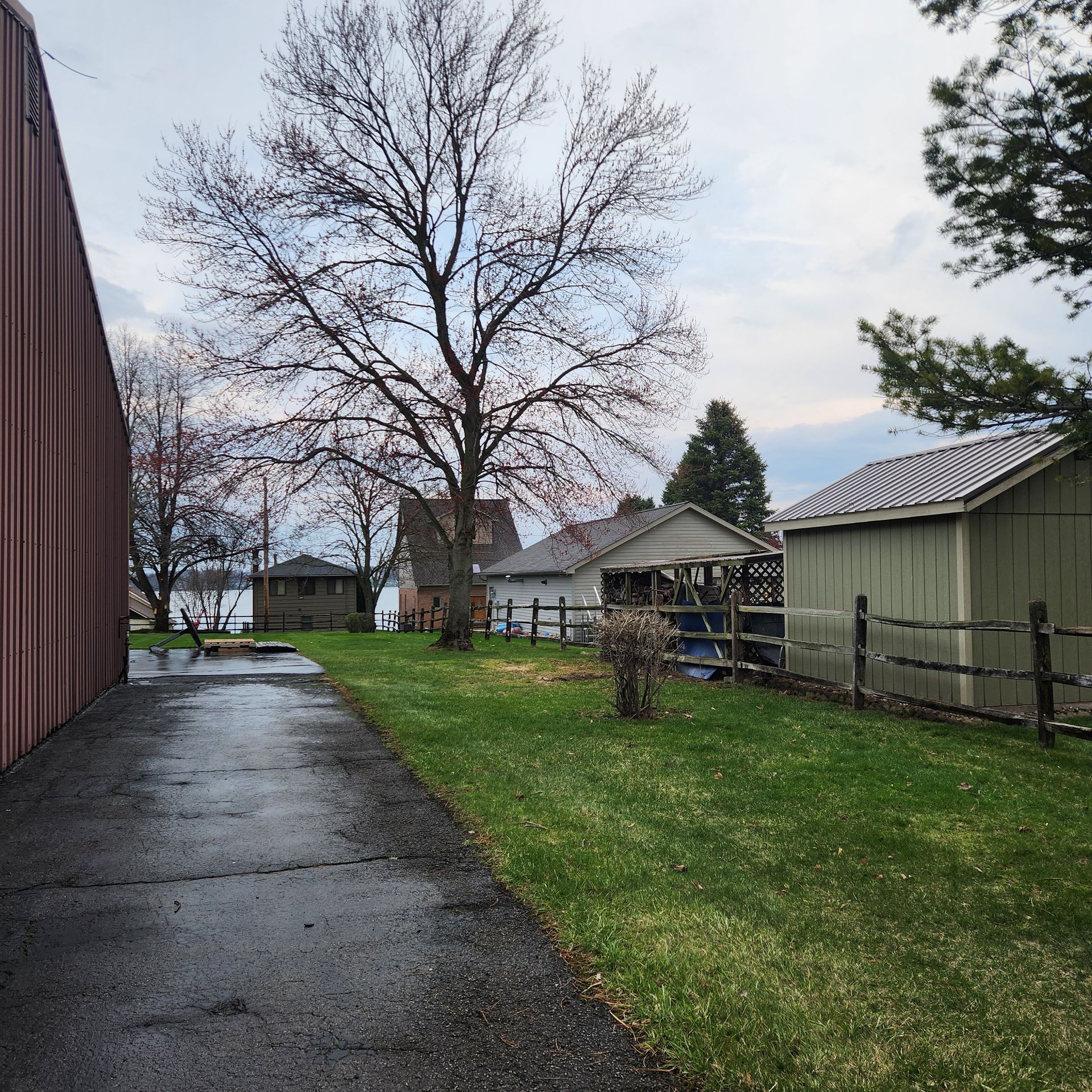 Wet paved path beside barns and a leafless tree on a cloudy day