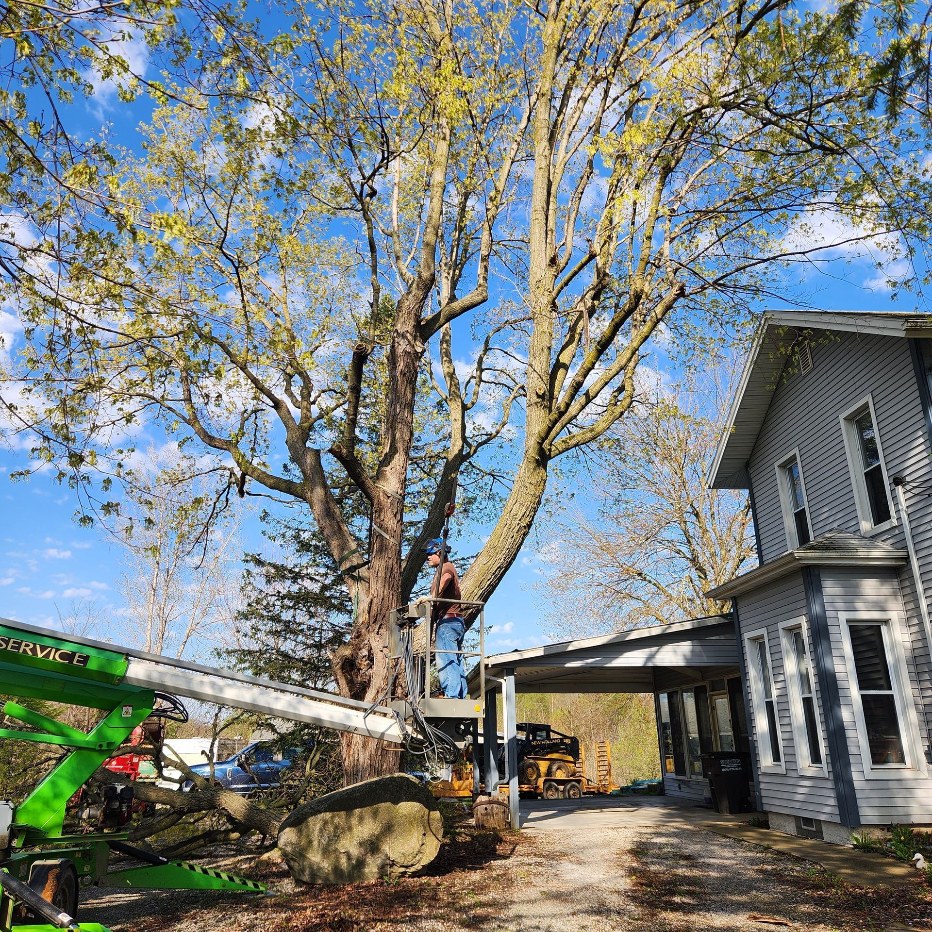Tree being removed by a green lift beside a gray house under a bright blue sky