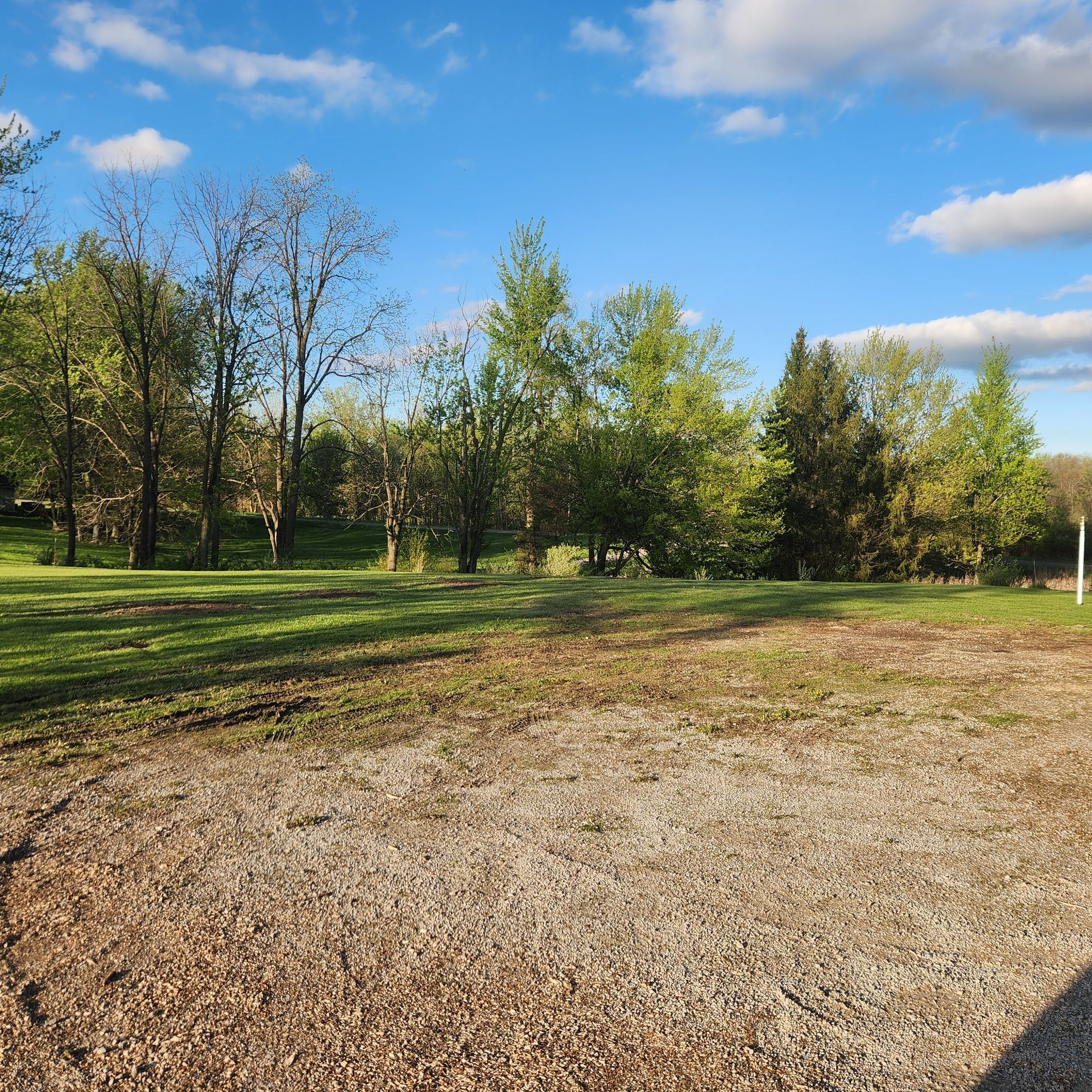 Sunny park with sparse trees, green grass, and a gravel foreground under a blue sky with clouds
