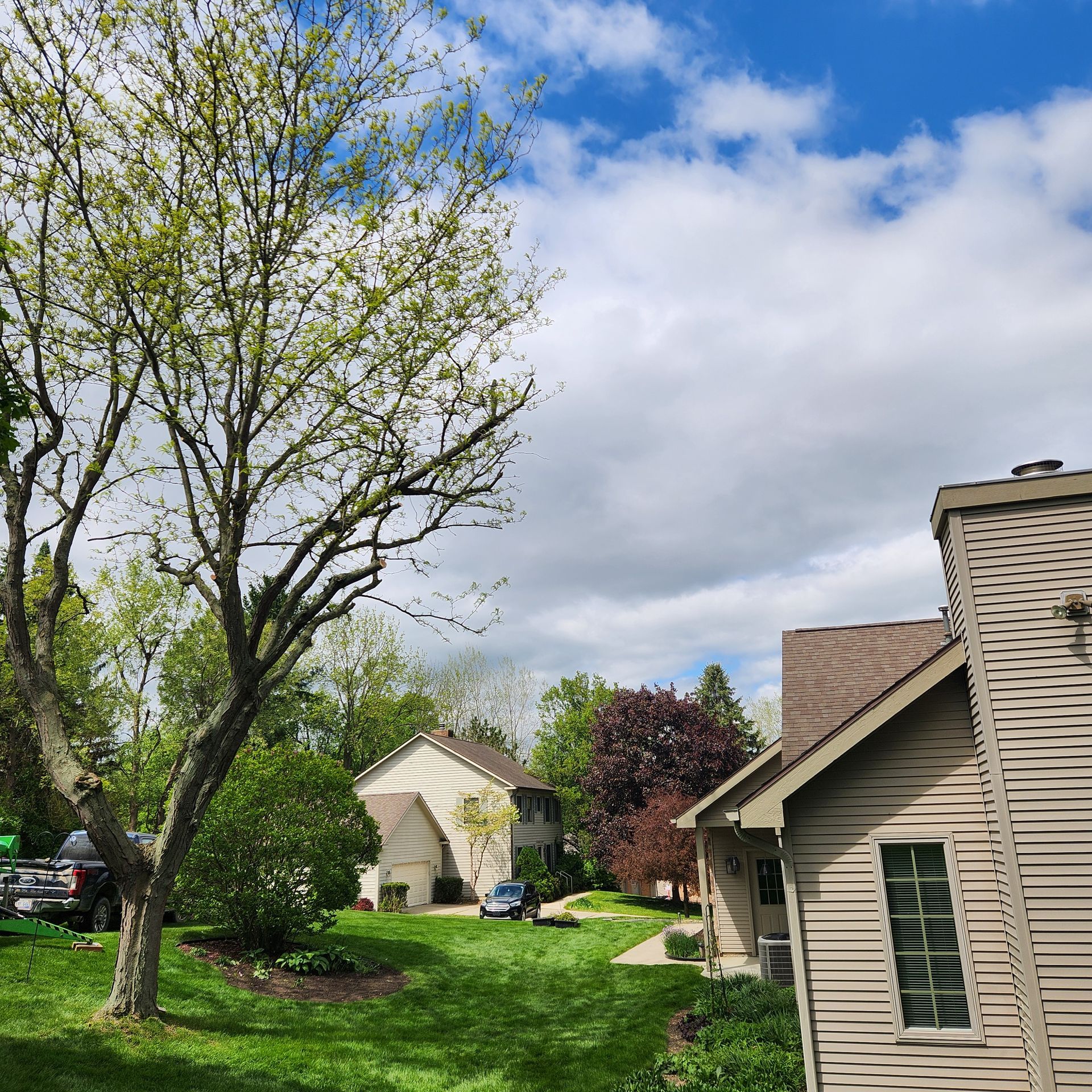Suburban backyard with green lawn, tall tree, cloudy sky, and beige houses with cars parked nearby