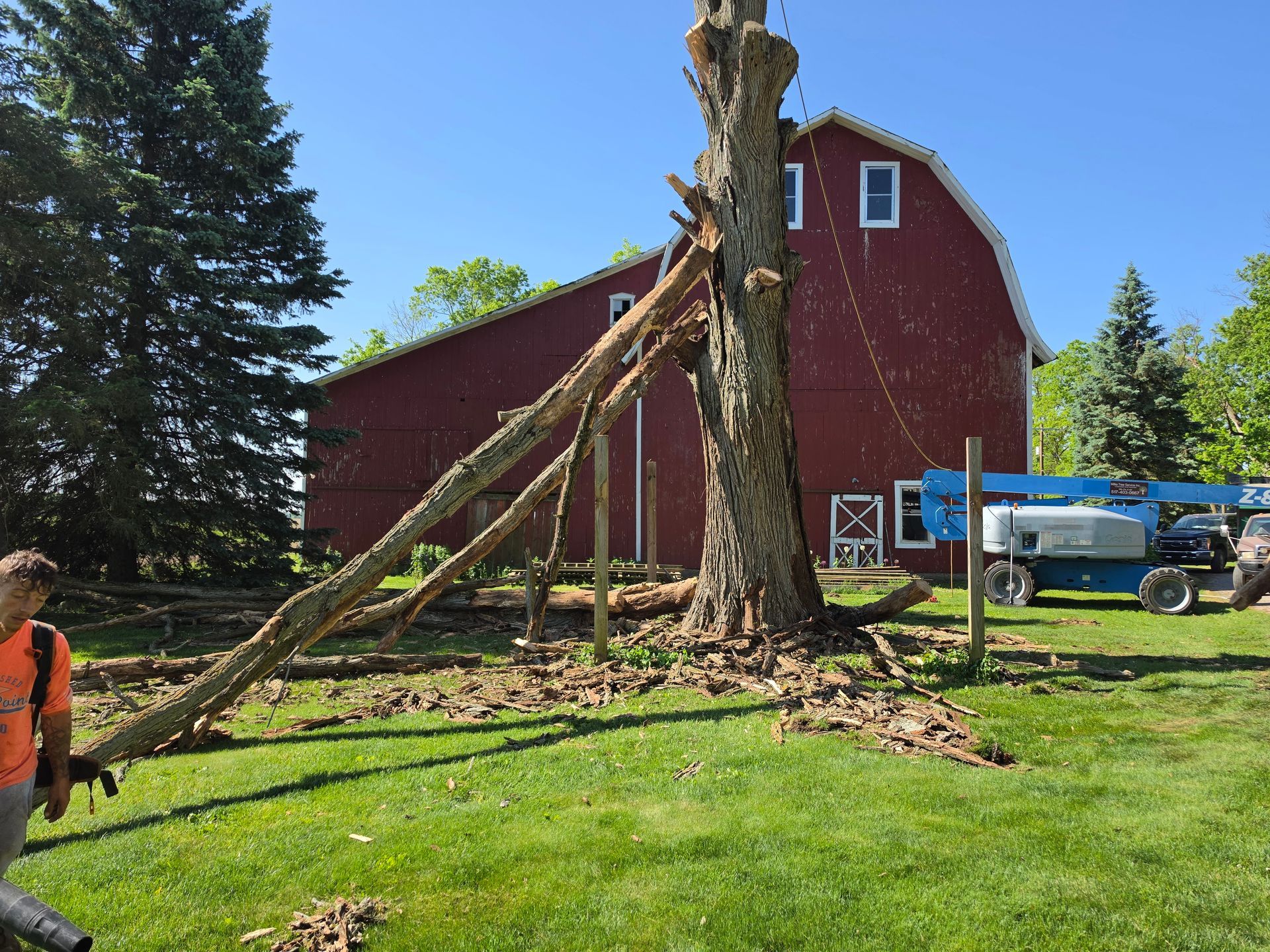 Damaged tree trunk leaning against a red barn, with a worker and utility truck nearby.